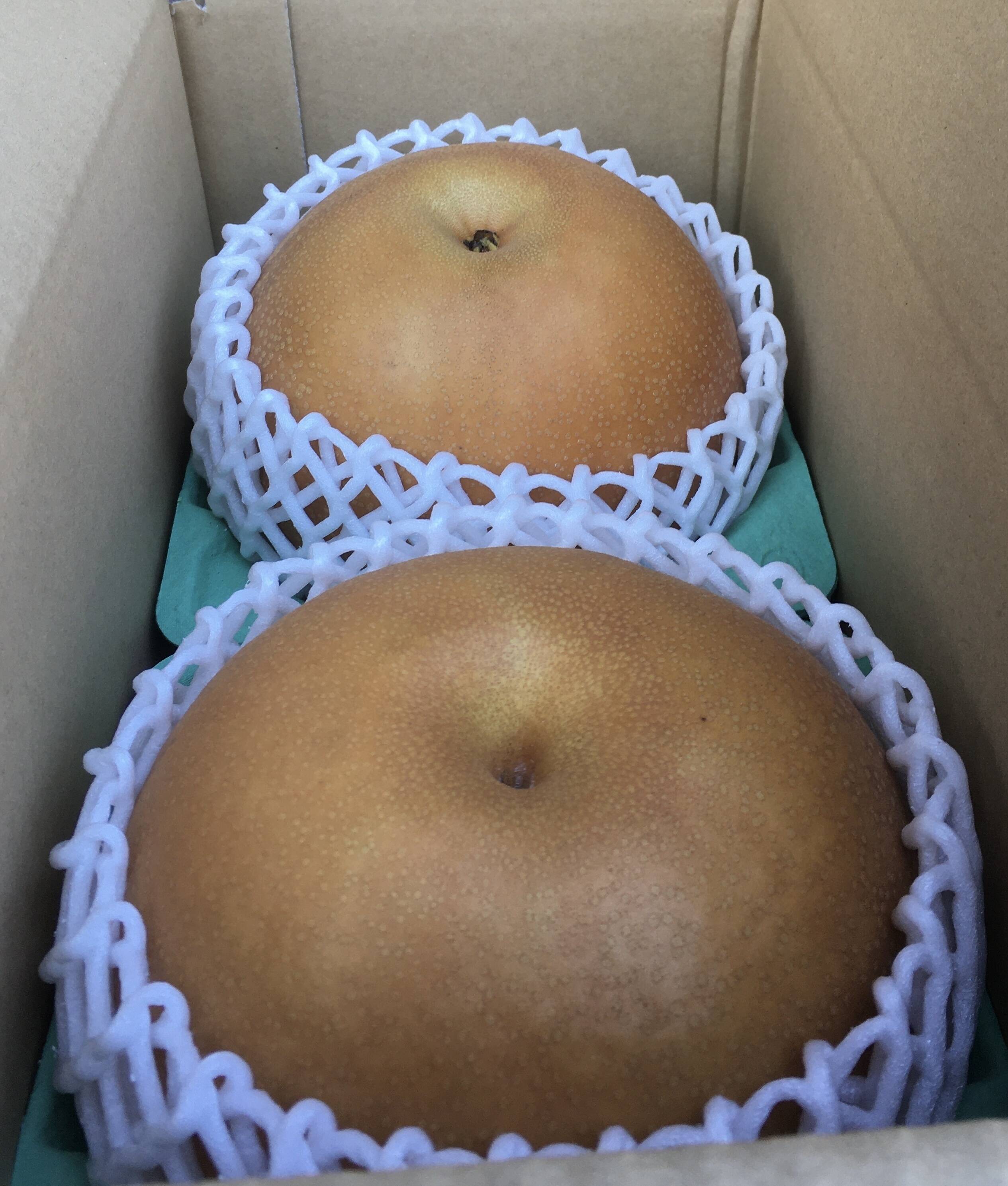 ゆり 超特大にっこり梨 2玉入り ２箱 栃木県産 にっこり梨 2玉入り 2.4kg：栃木県産のにっこり｜食べチョク