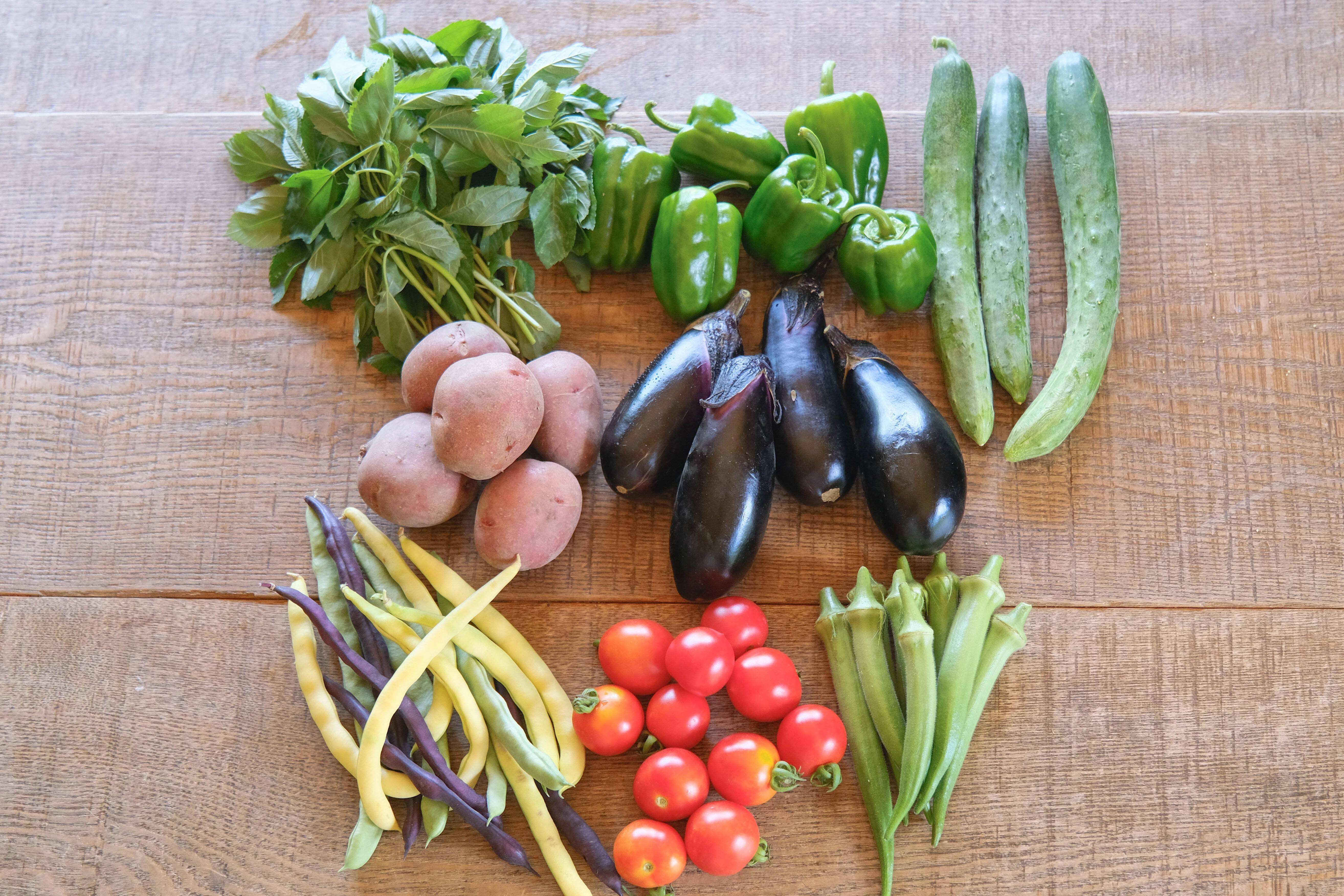 有機JAS認定/神戸よりお届け】畑のめぐみ野菜セット【Mサイズ】：兵庫