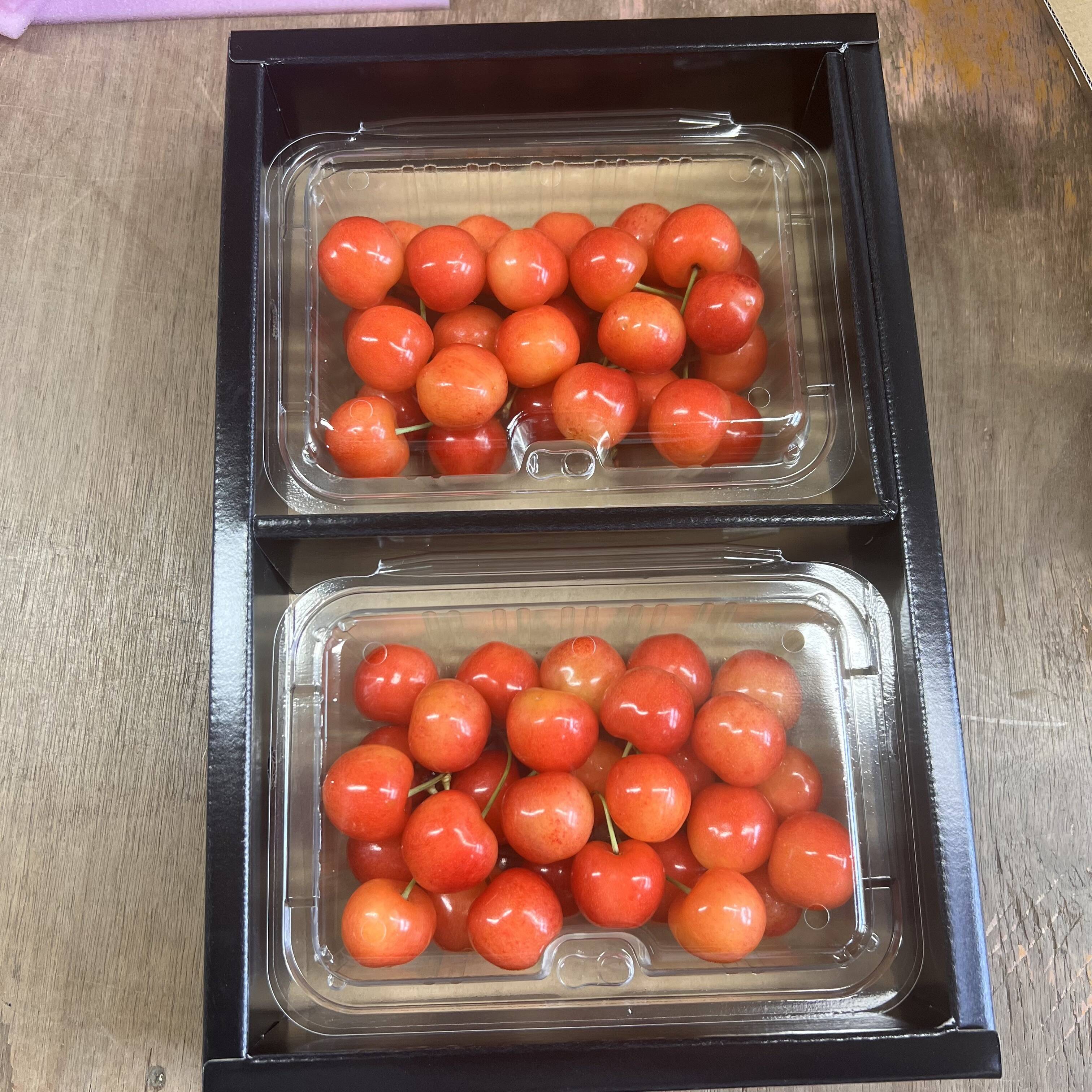 チルド便 ギフト】即日発送 採れたて さくらんぼ ギフト佐藤錦 紅秀峰 