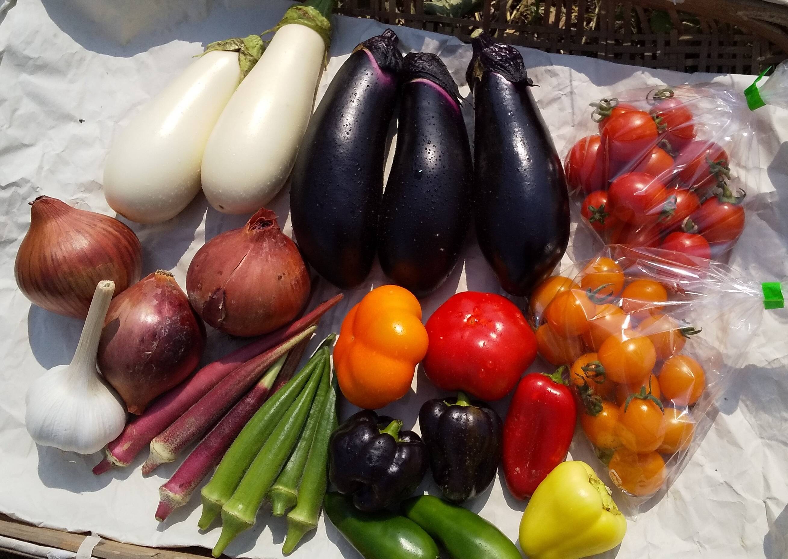 奈良からお届け～朝採りなすとミニトマト＆おまかせ野菜3種セット（計