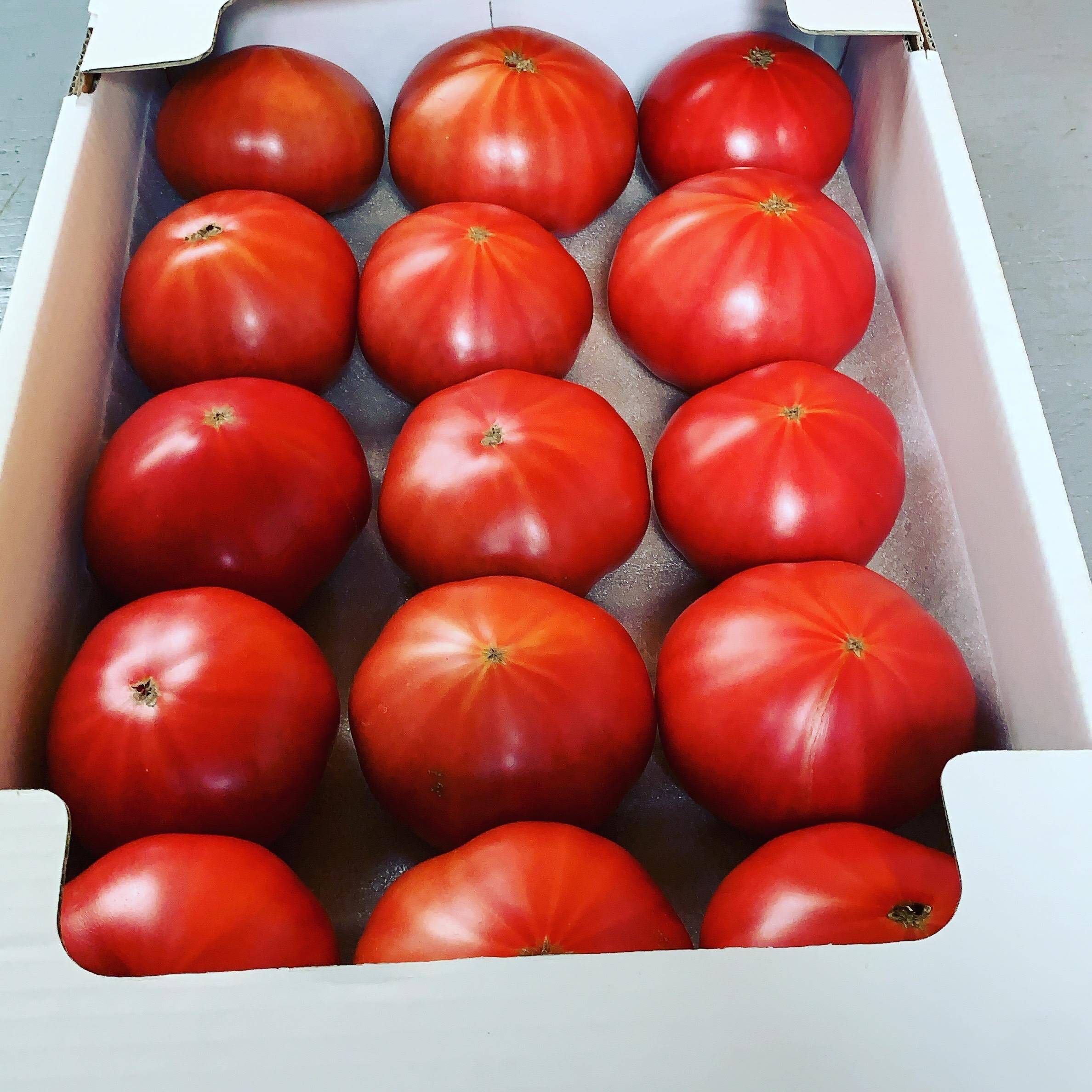 🍴 Eat choku ｜ [Kaga tomatoes] Endured the severe cold of Hokuriku and grew deliciously! L box (approximately 15 L balls to 24 M balls) …