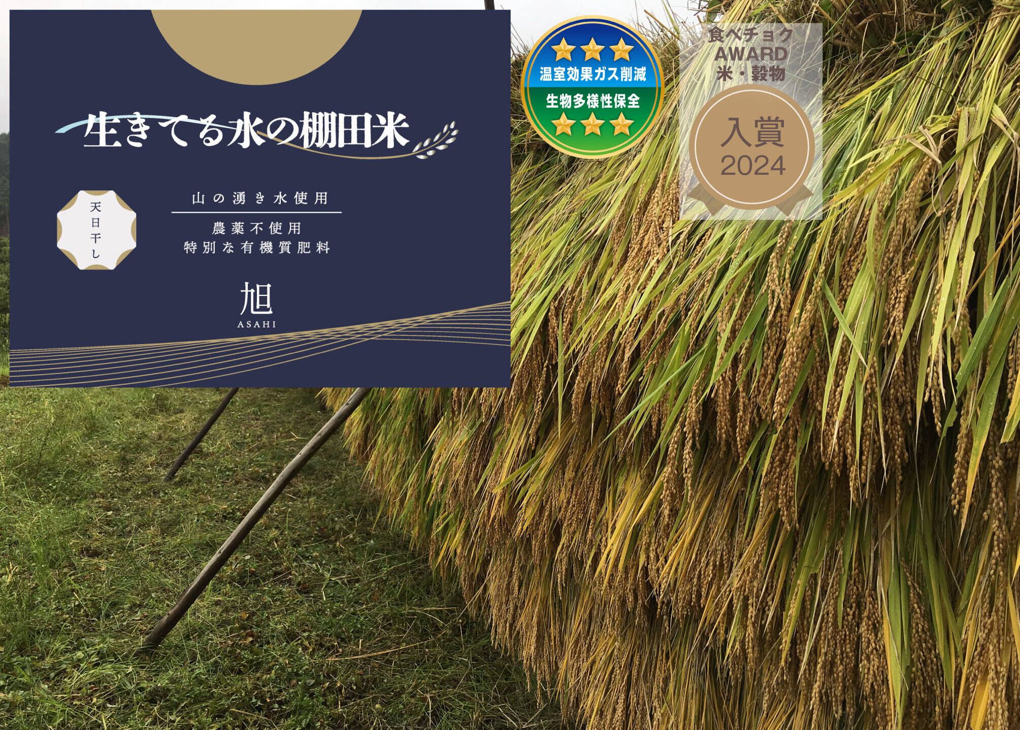令和8年新米◇生きてる水の棚田米プレミアム◇天日干し・農薬・化学