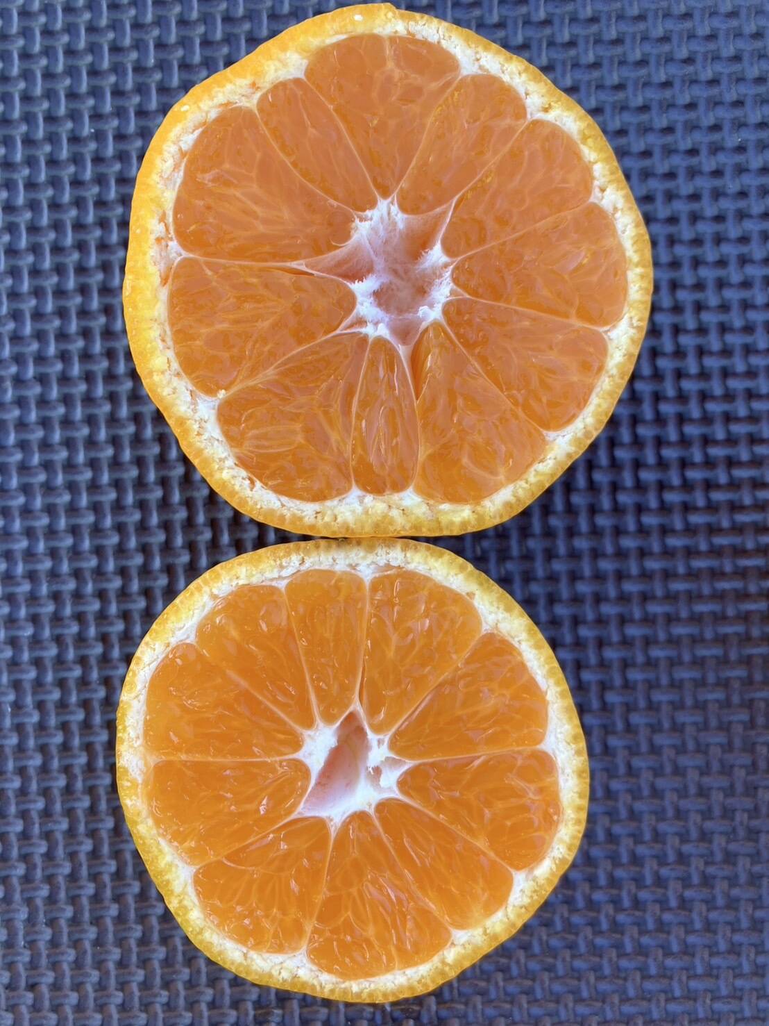 静岡県産 片山 小玉みかん 3kg 露地 程よい酸味：静岡県産のみかん