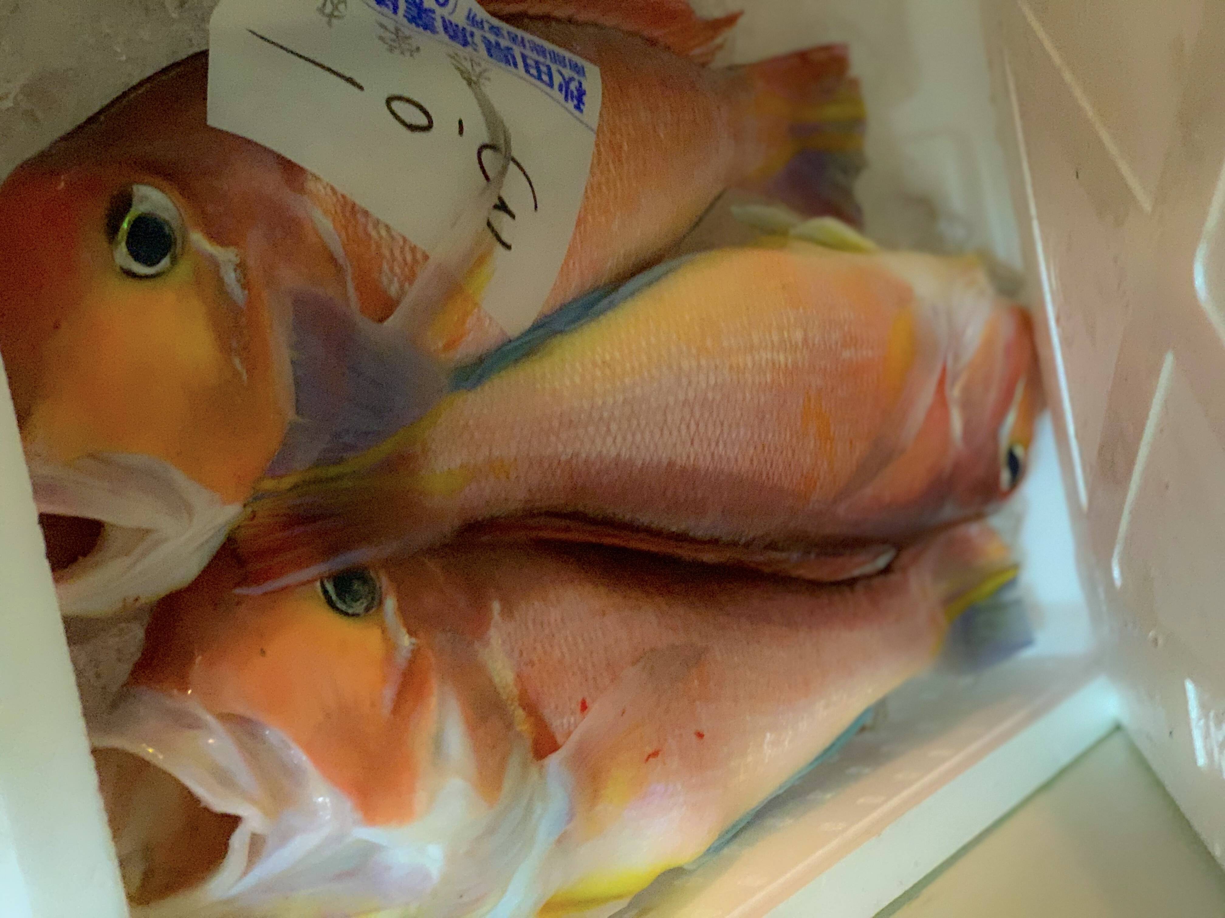 秋田沖天然甘鯛box 2キロ 秋田県産の魚介類 食べチョク 産地直送 産直 お取り寄せ通販 農家 漁師から旬の食材を直送