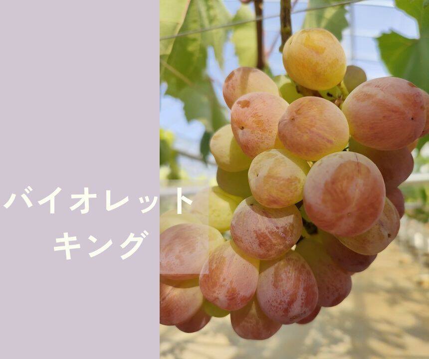 K*い様 アンティーク　調味料入れ　ぶどう　葡萄　昭和　レトロ K*い様 アンティーク 調味料入れ ぶどう 葡萄 昭和 レトロ