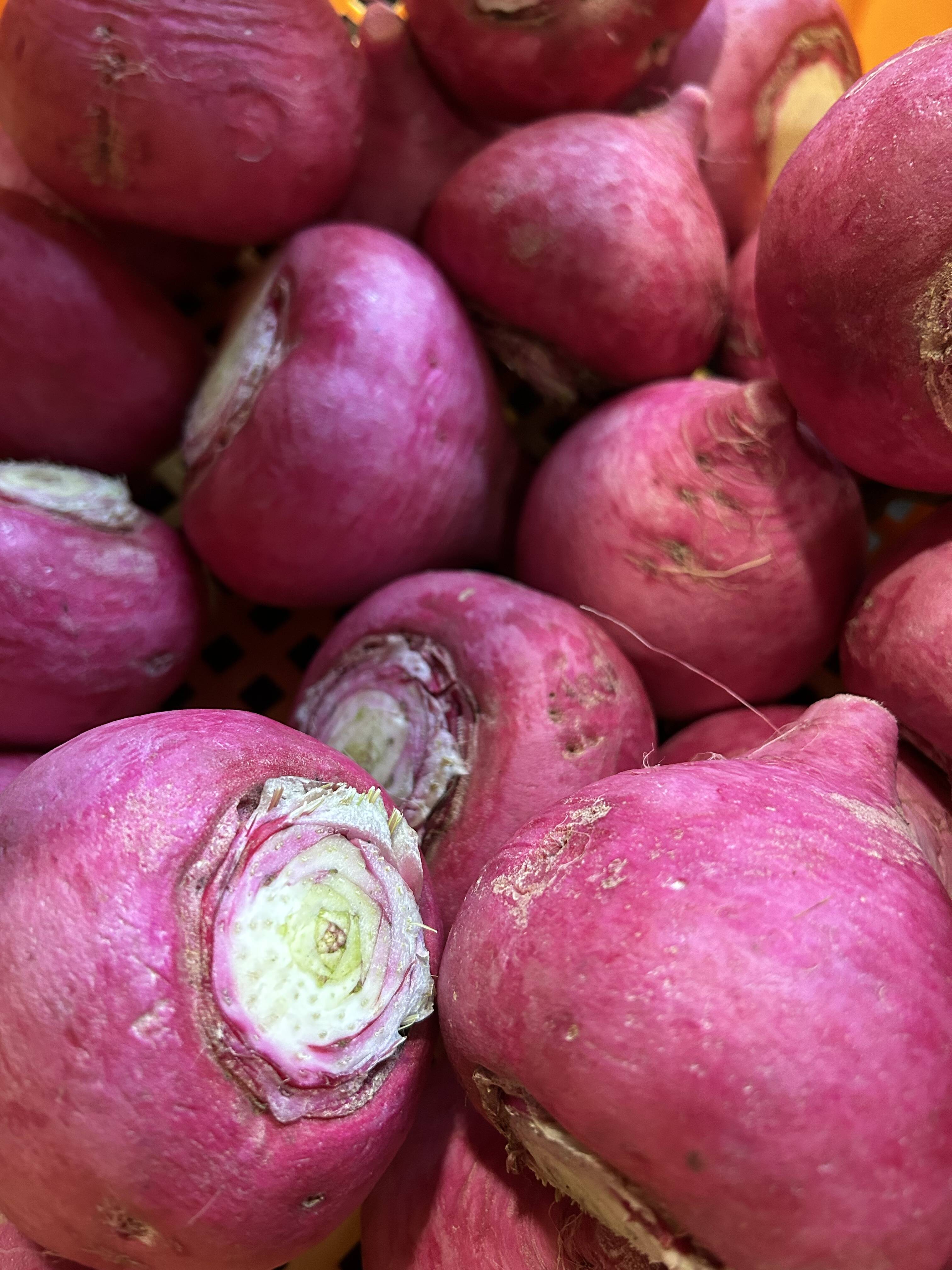 からいね赤 1kg 辛味大根 千葉県産 化学農薬不使用 - 野菜