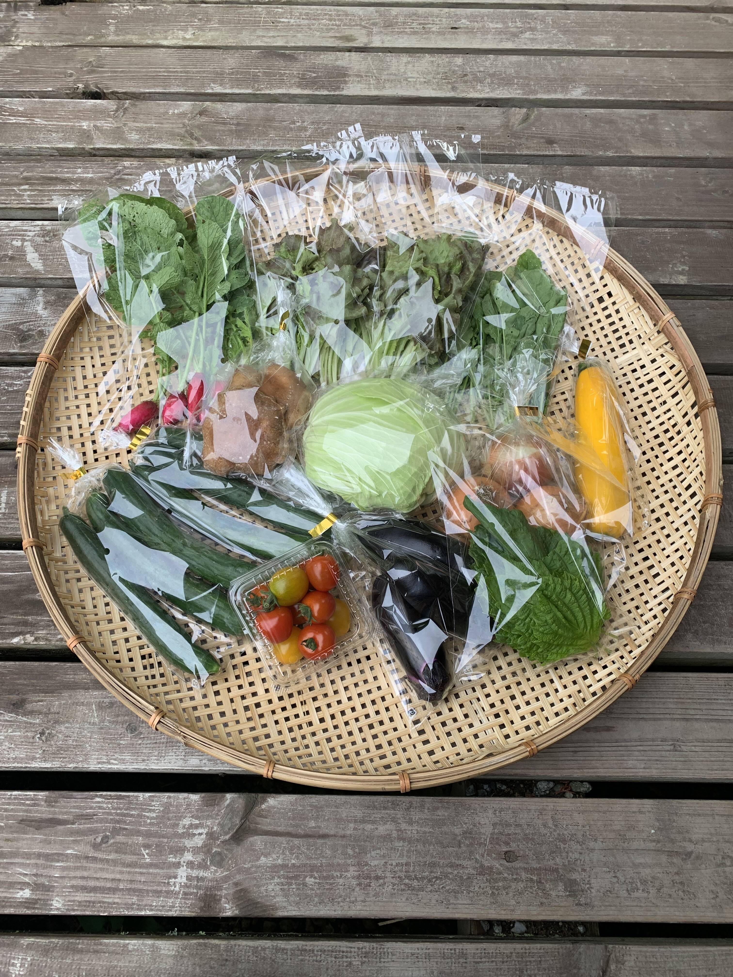 夏ギフト】夏限定！しいたけと夏野菜、お楽しみBOX mini しいたけ1
