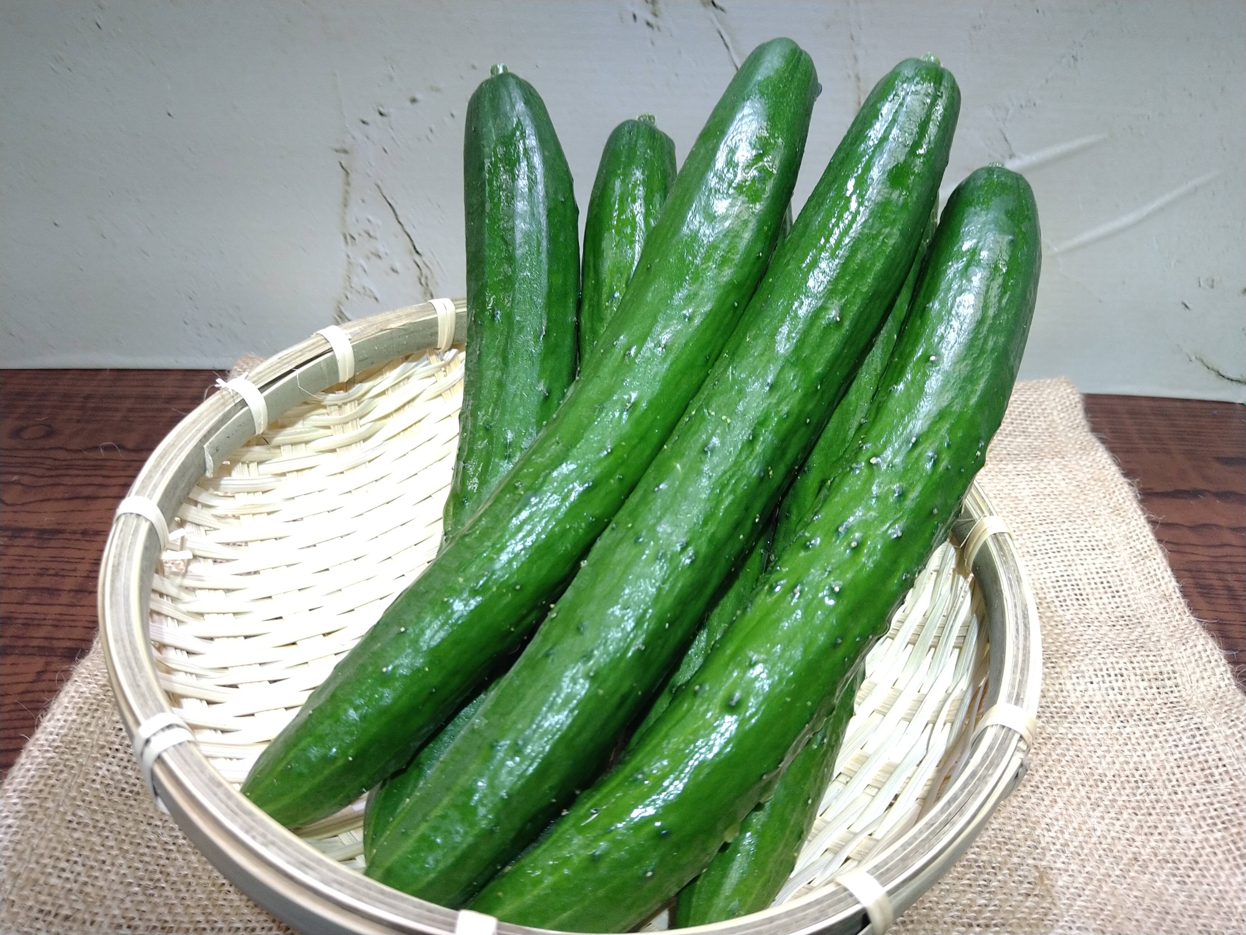 まがりミニきゅうり2kg - 野菜