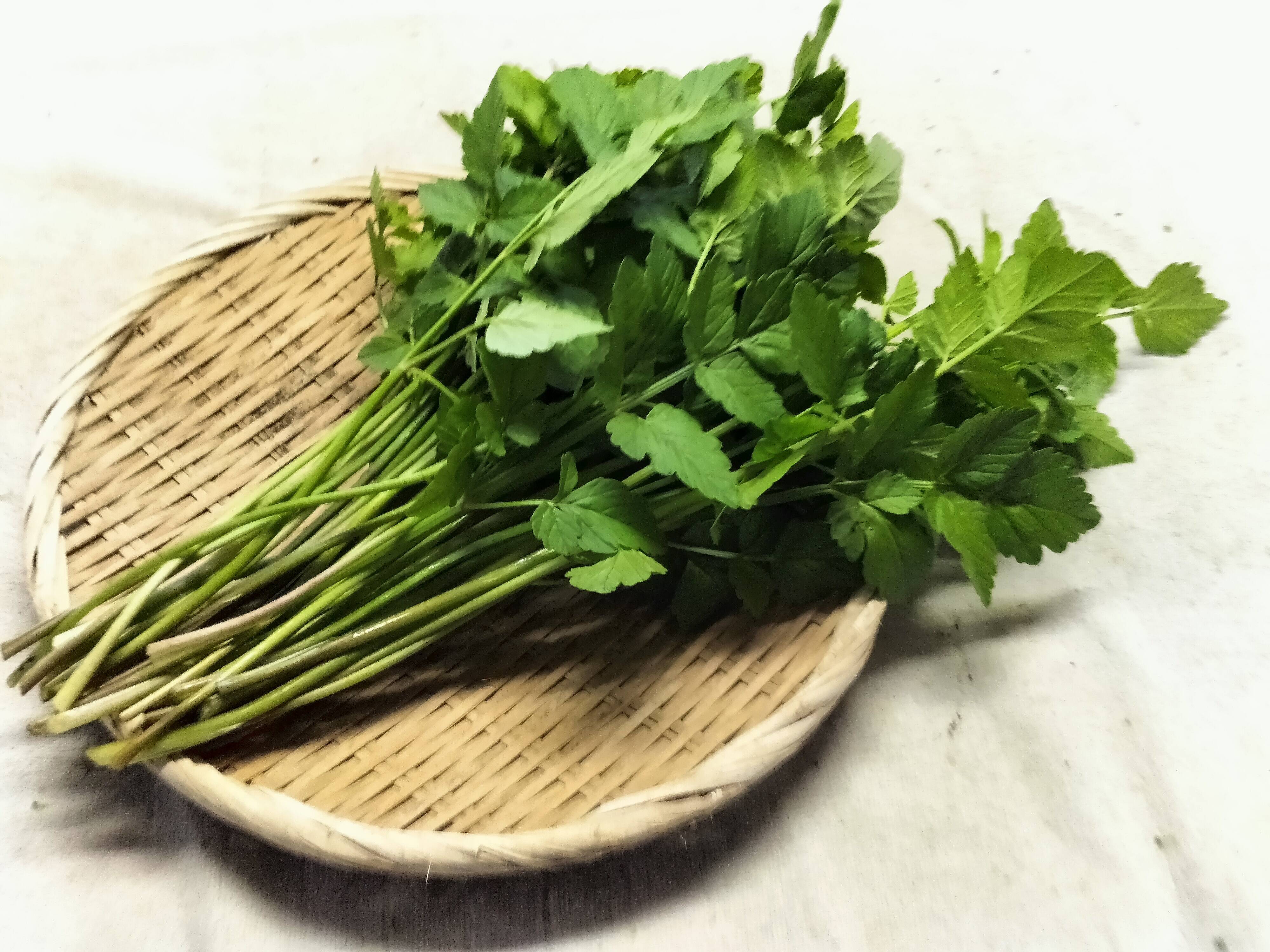 かぐわしく強い香り！シャキ旨なセリ＜約50本/約100g＞：秋田県産のその他茎野菜｜食べチョク｜産地直送(産直)お取り寄せ通販 -  農家・漁師から旬の食材を直送