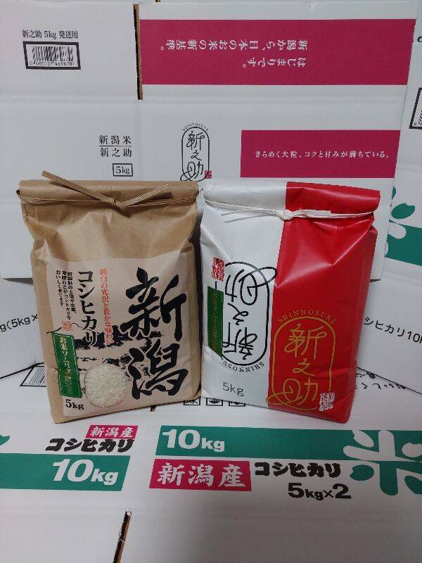 セール！ SALE 【お歳暮米20㎏】令和５年産 新潟コシヒカリ(長岡市_と