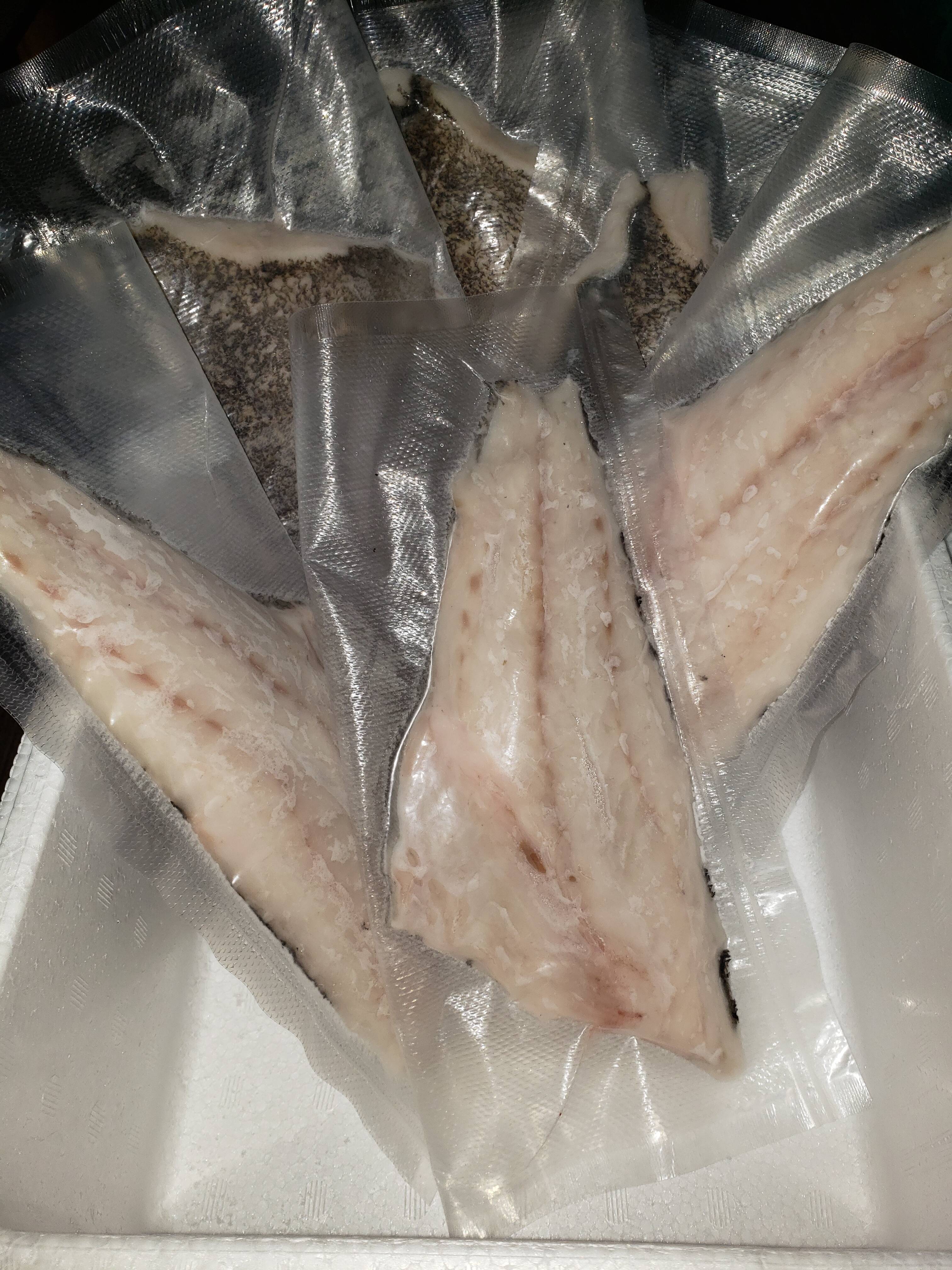 お徳用】幻の超高級魚クエ冷凍切身「1キロセット」：長崎県産のクエ