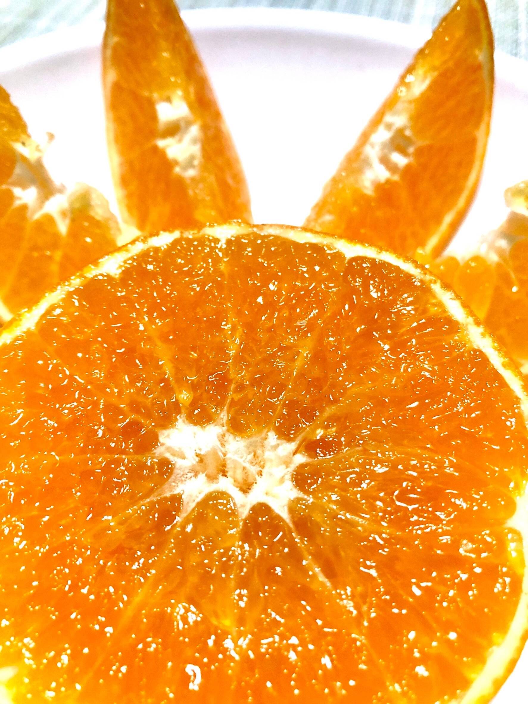 afe83cc85fabf0d7429c5645e90423