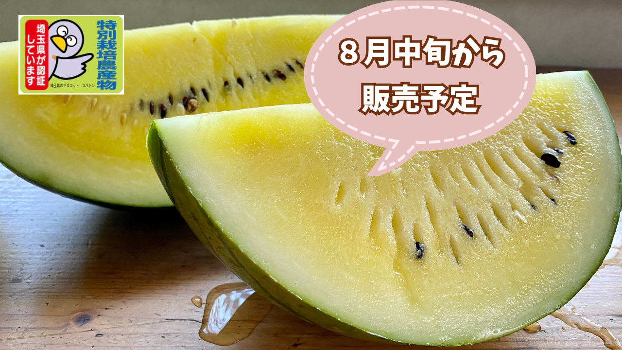 東久邇宮稔彦王様 リクエスト 3点 まとめ商品 ひさ様 リクエスト 8点 まとめ商品 東久邇宮稔彦王様 リクエスト 3点