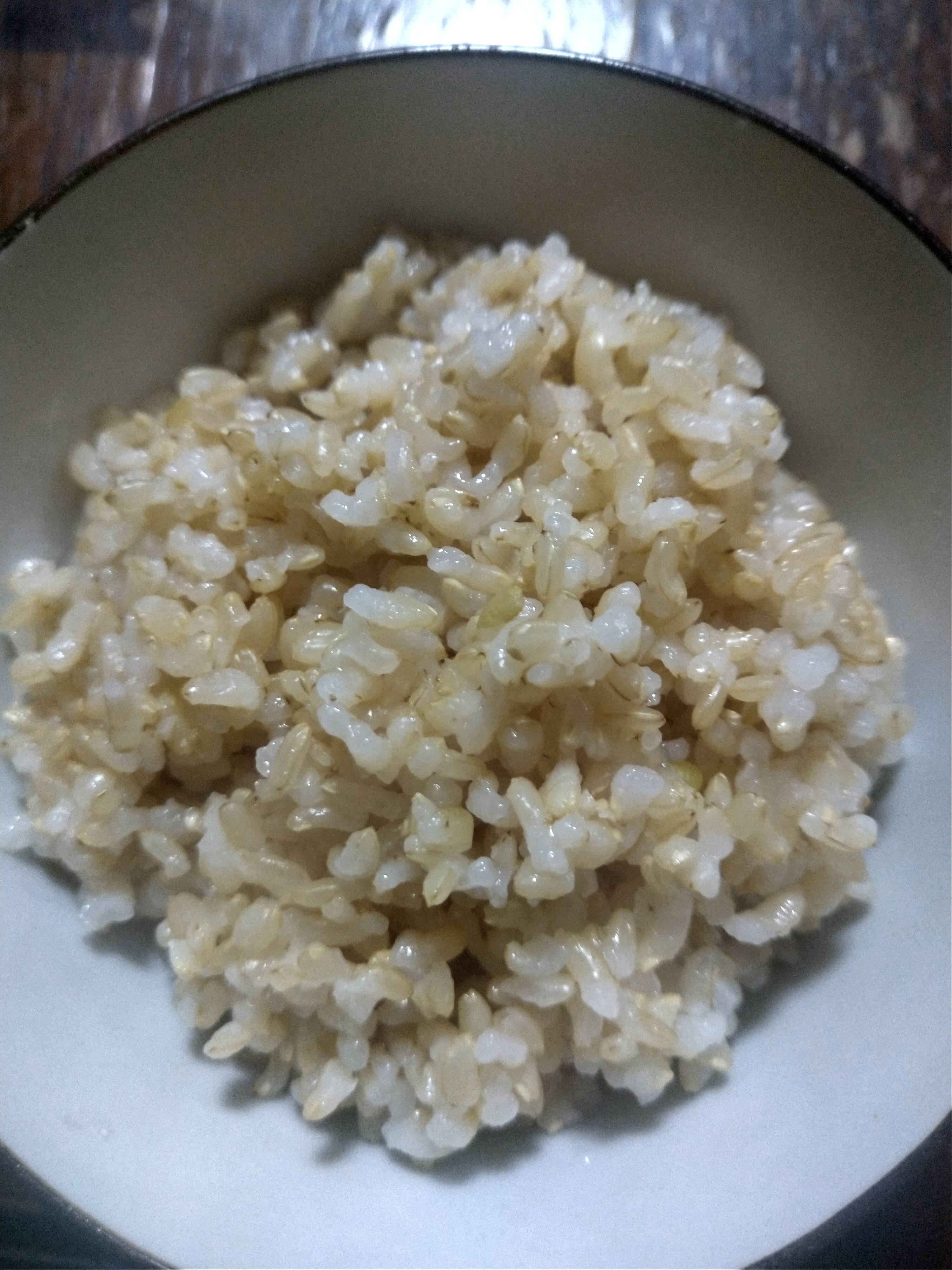 奈良県産無農薬ヒノヒカリ20kg玄米 - 米