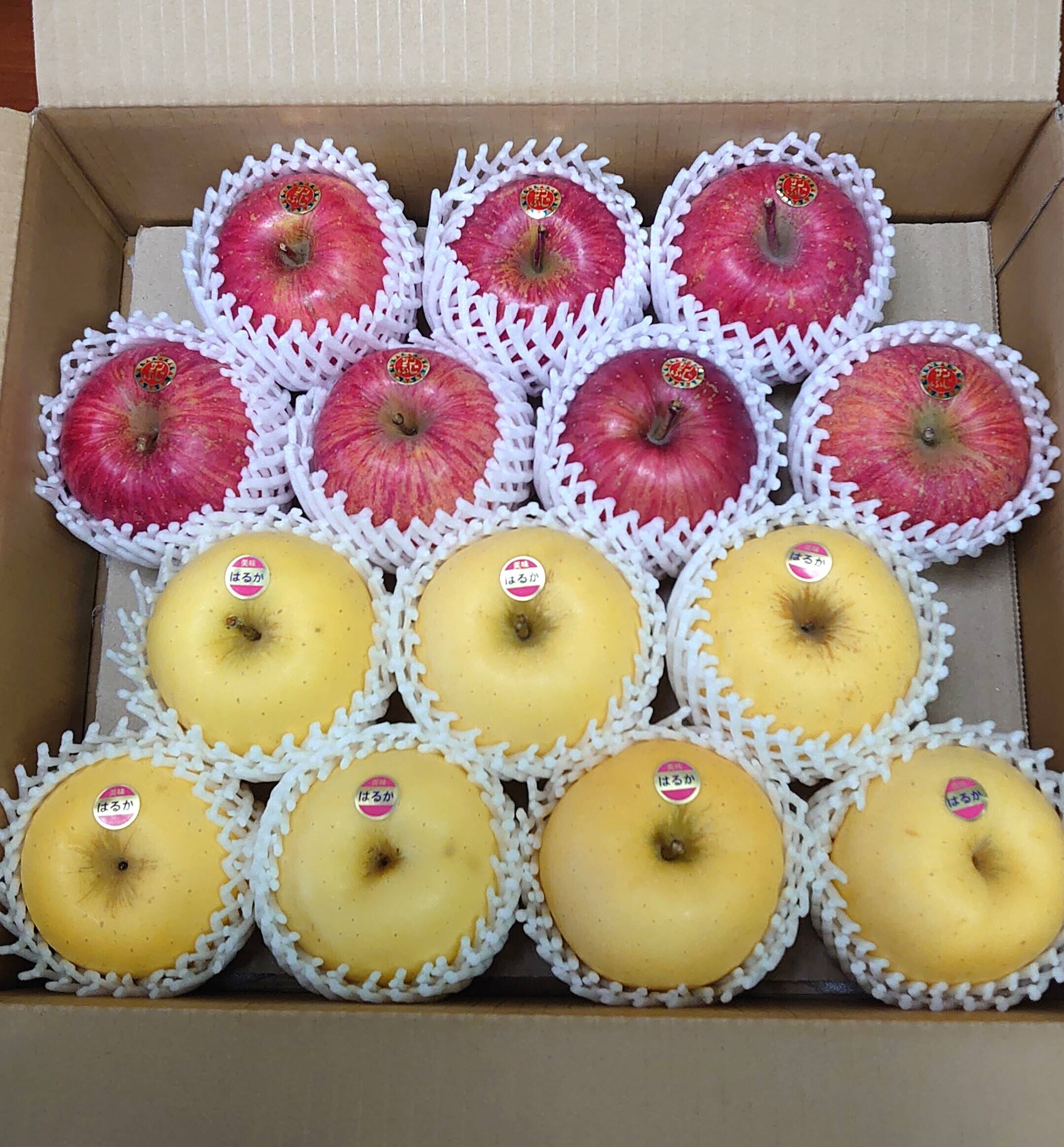 ふじさん 岩手・紫波町】特別栽培「サンふじ」「はるか」の詰め合わせ（ご家庭用