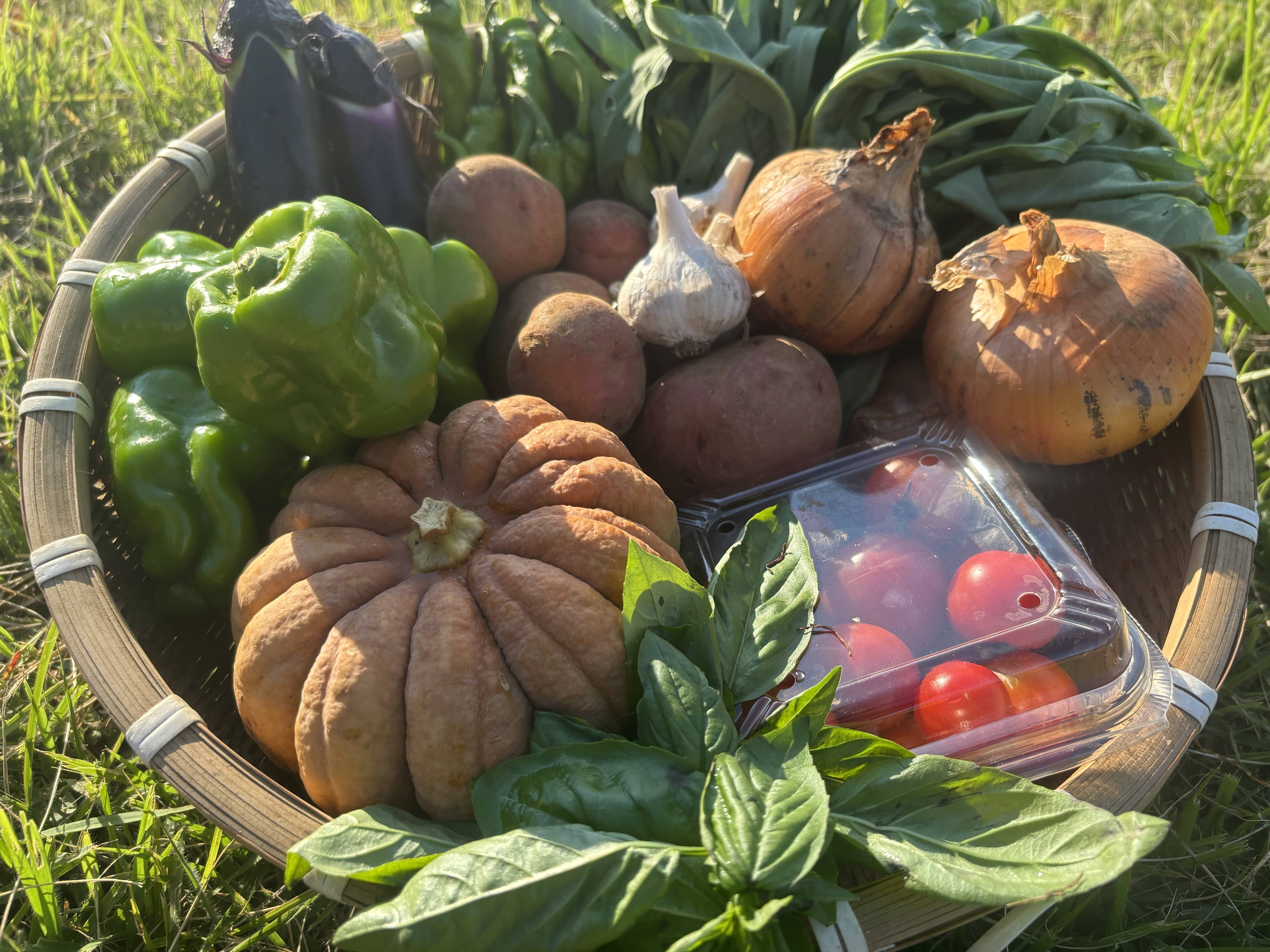 b0d9dd4624c8700adaacc3df61605b