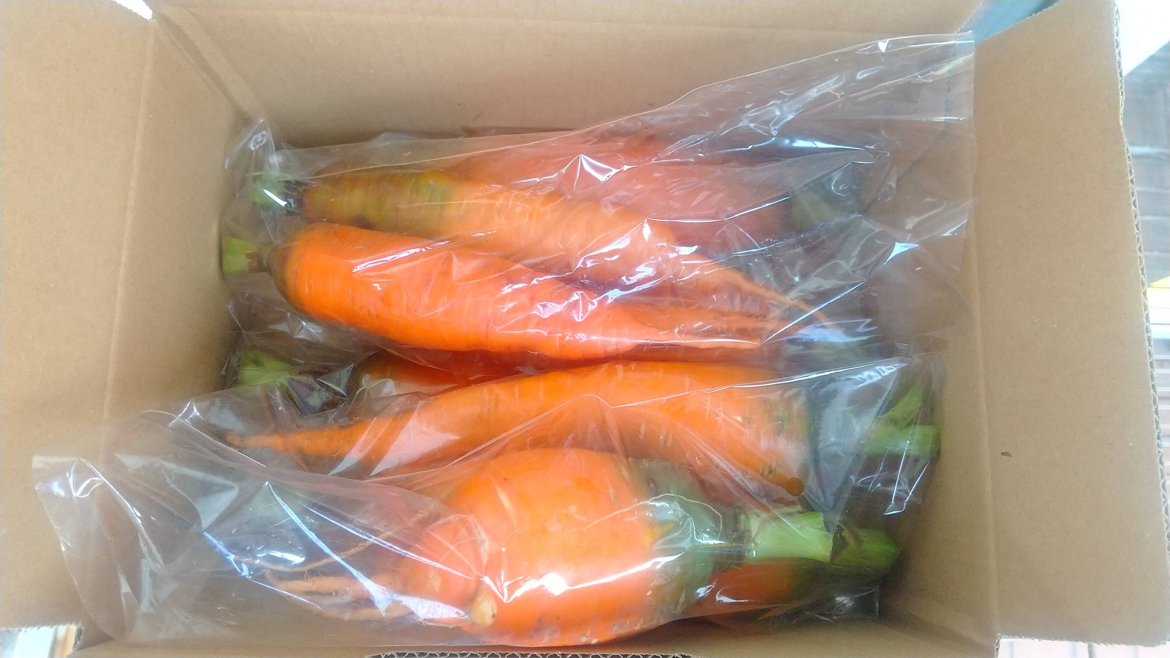 訳あり、自然栽培の人参2kg：神奈川県産の野菜｜食べチョク｜産地直送