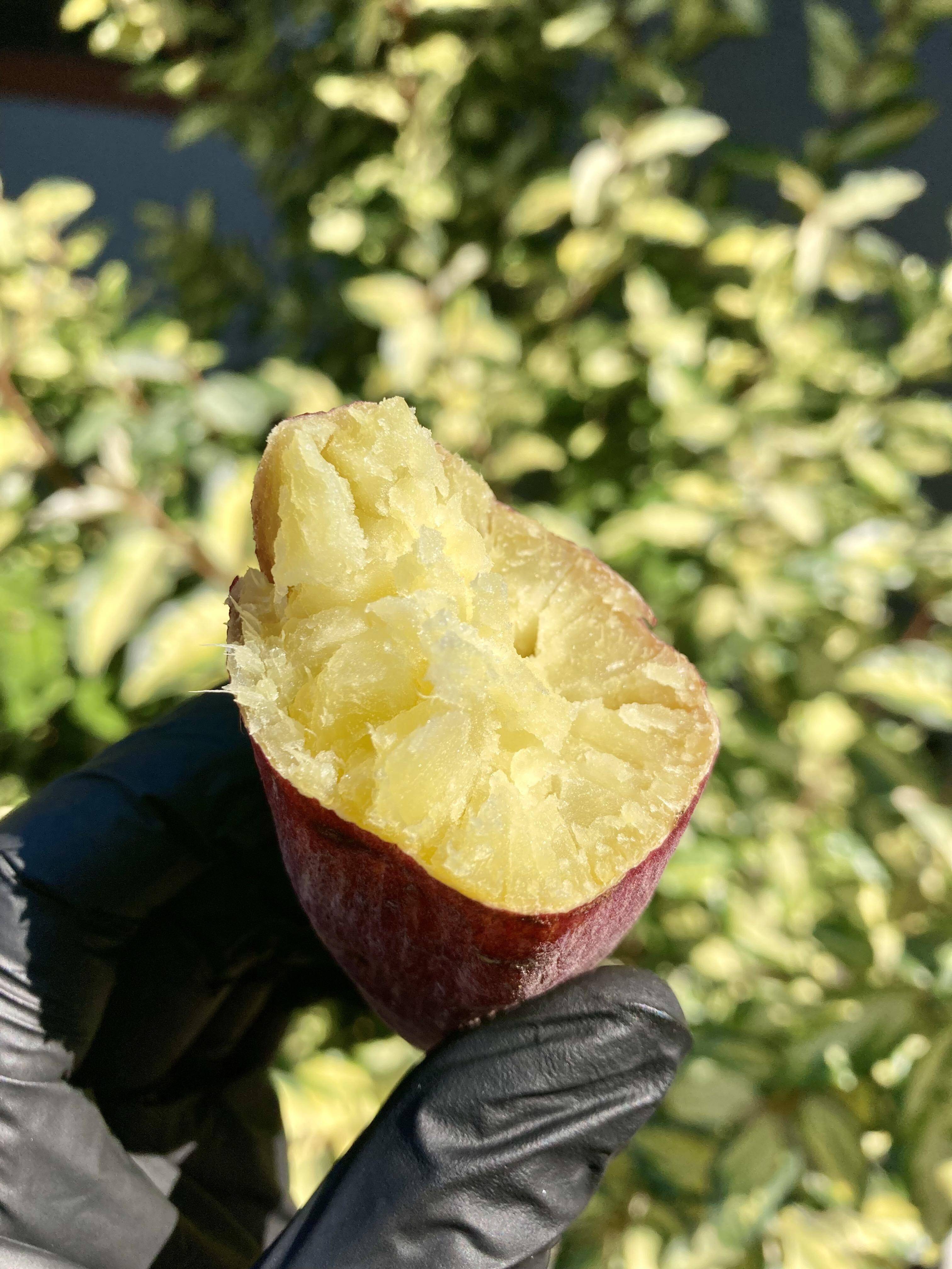 エメラルド 農家さん違い 紅はるか切り落とし400g×12袋 エメラルド様専用 農家さん違い 紅はるか切り落とし400g×12袋