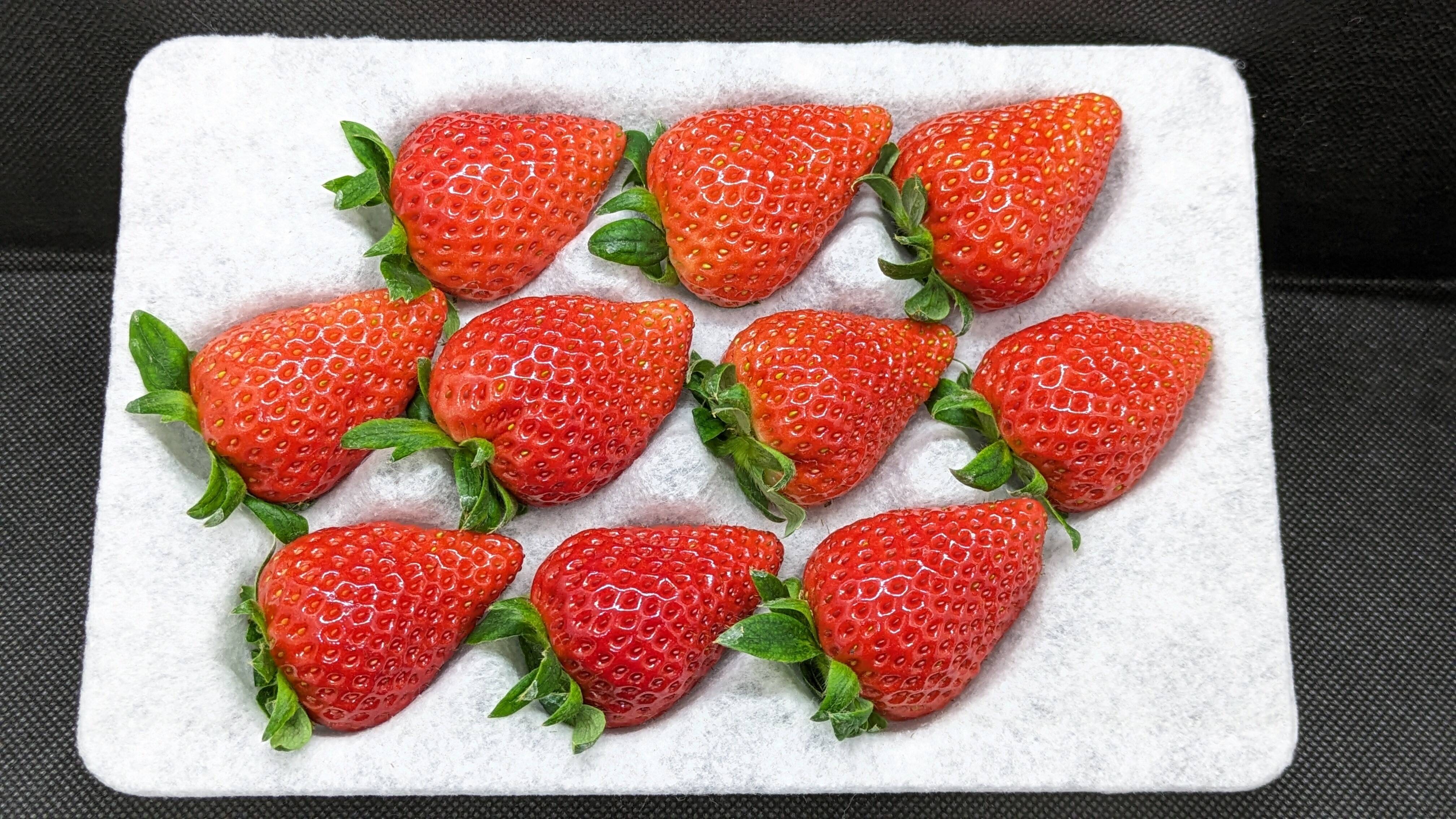 よつぼし＆すず】いちご食べ比べセット 合わせて2パック(各1