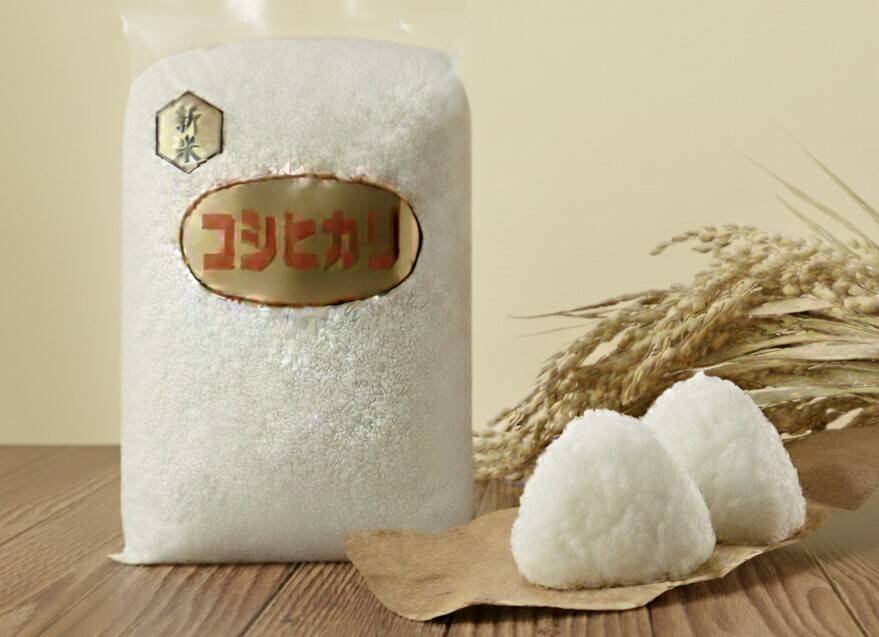 【タムLove♡】令和6年度新米・農家直送　丹後コシヒカリ タムLove♡様専用】農家直送丹後コシヒカリ