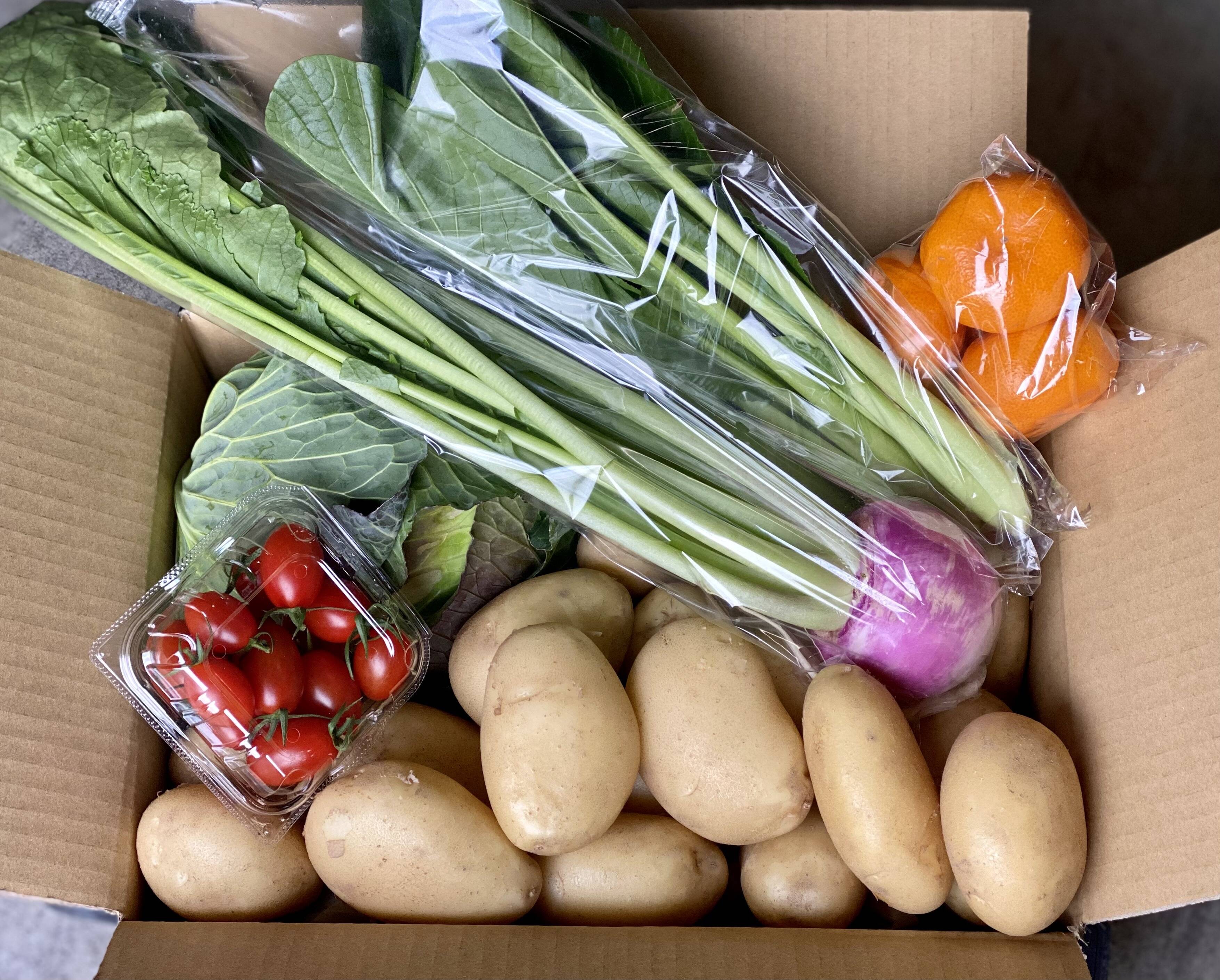 新じゃが（2kg）と採りたて野菜（5品）＆椎茸1kg：静岡県産の野菜