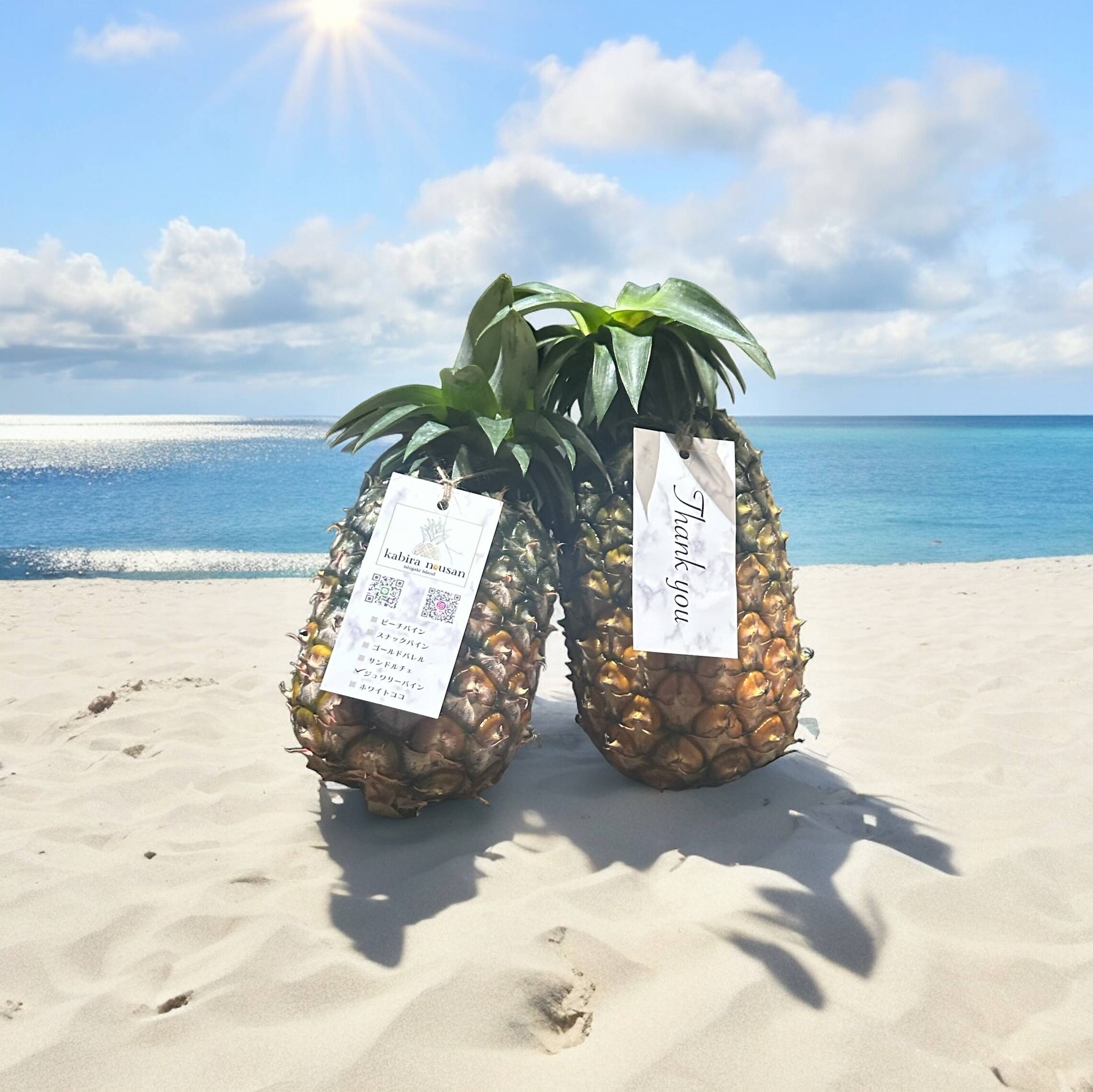 沖縄県石垣島産 ジュワリーパイン （島パイン）約10キロ 石垣島産「ジュワリーパイン(規格外)15玉入り：沖縄県産のその他