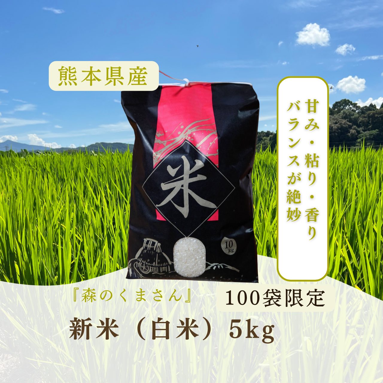 森のくまさん2025年米 5kg【篤壌シリーズ】：熊本県産の森のくまさん