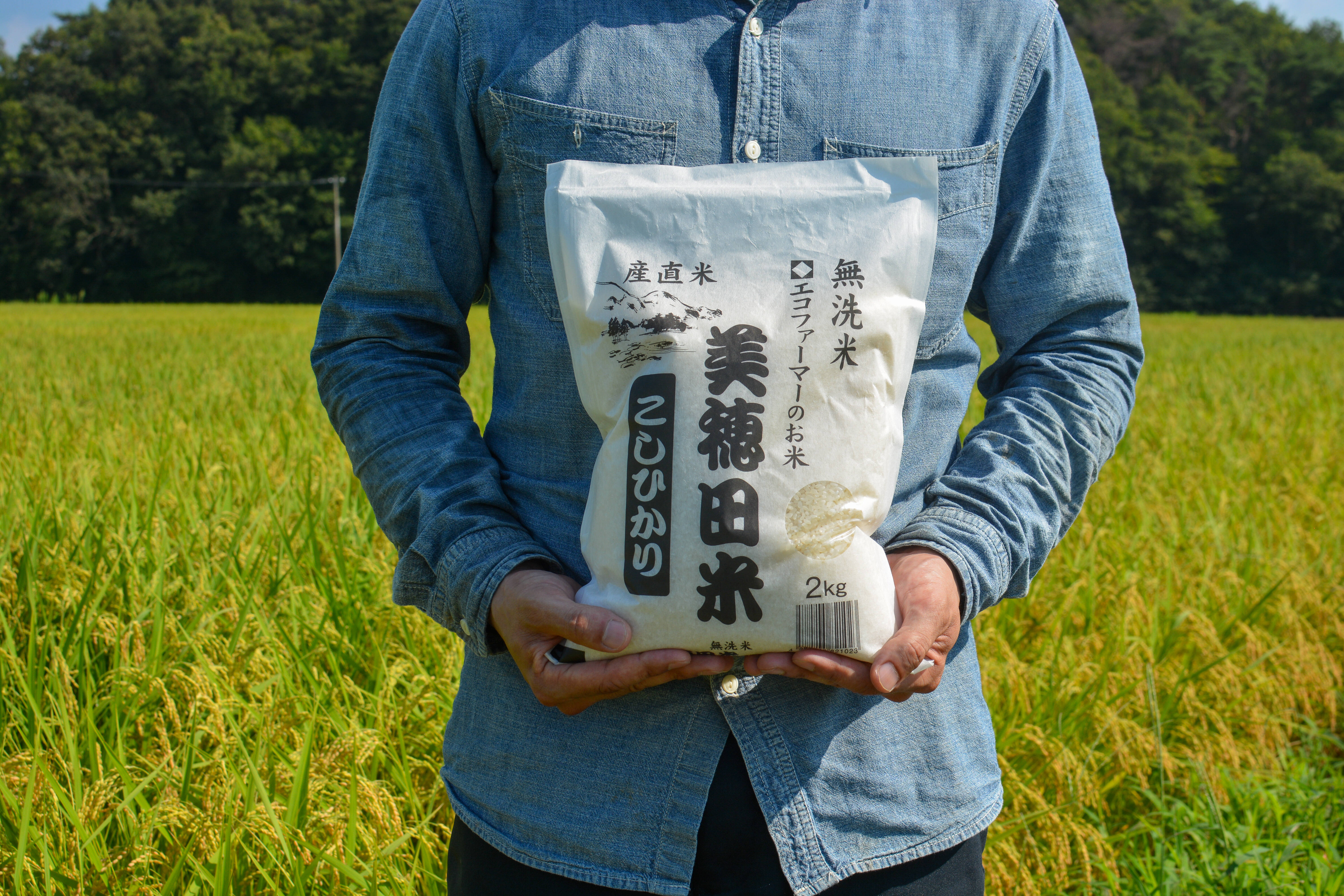 洗わず炊ける無洗米！令和7年産 美穂田米 コシヒカリ 2kg｜三穂田町