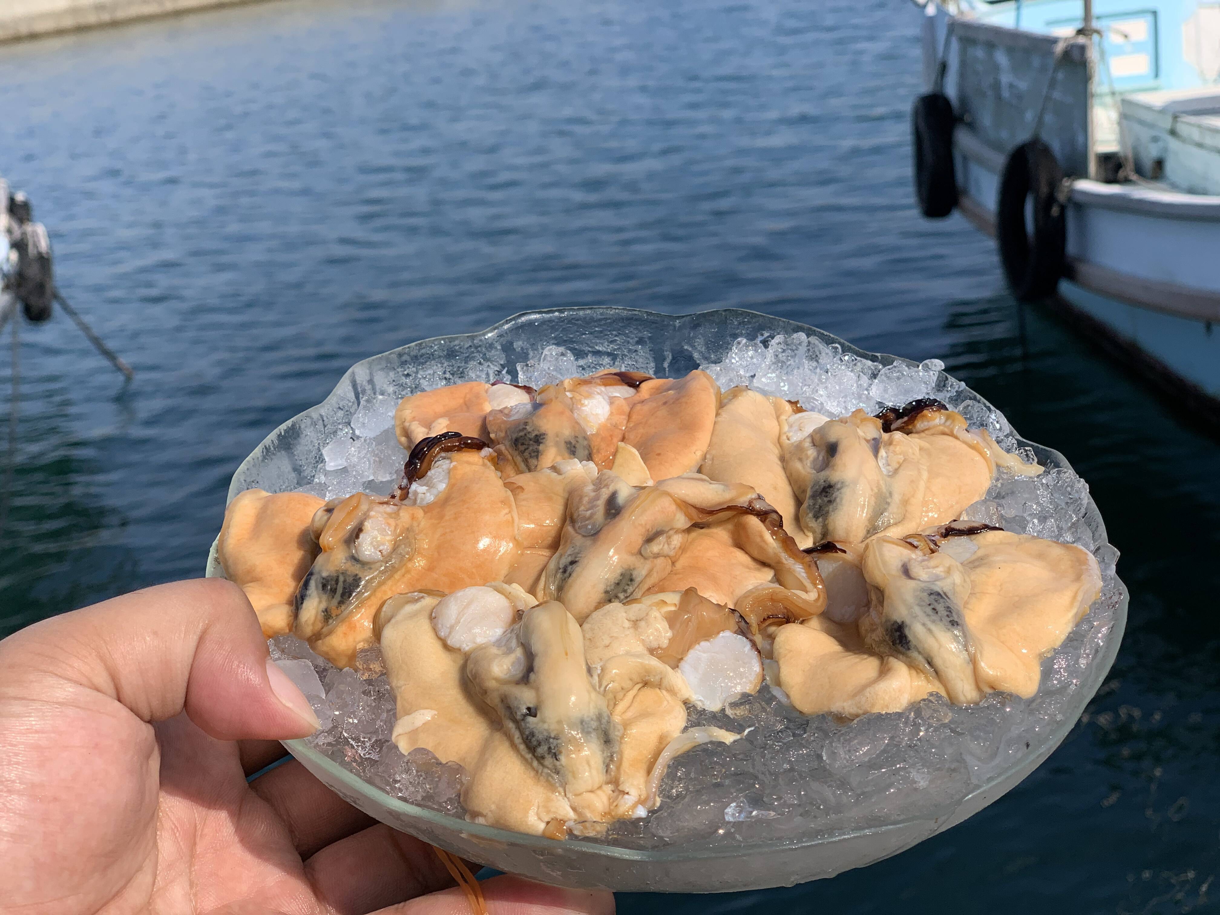 お鍋に お雑煮に 剥き瀬戸貝 3個入り 5 愛媛県産の魚介類 食べチョク 産地直送 産直 お取り寄せ通販 農家 漁師から旬の食材を直送