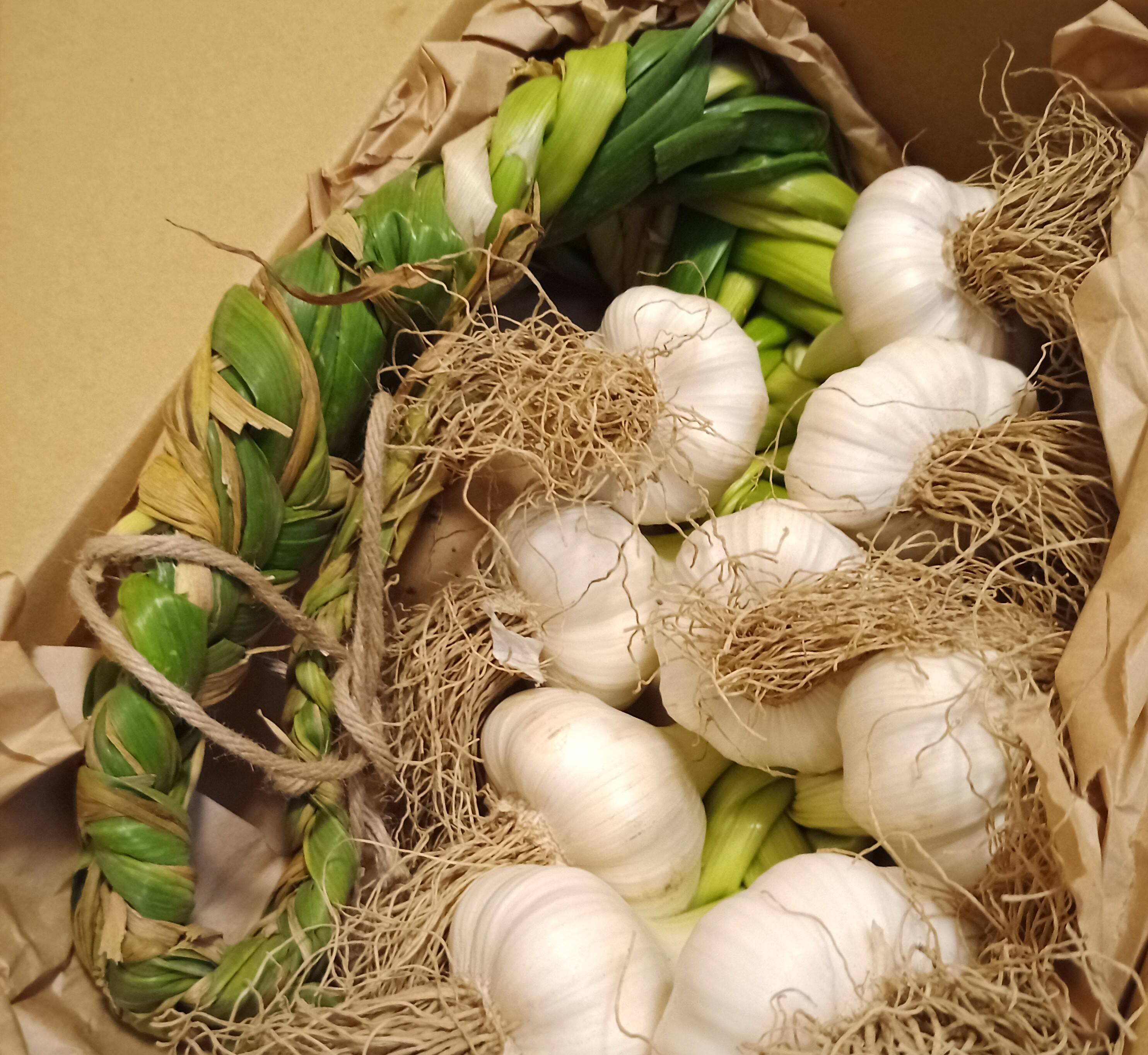 オシャレに吊り下げ ニンニクリース ガーリックブレード 800g 8 12玉 埼玉県産のにんにく 食べチョク 産地直送 産直 お取り寄せ通販 農家 漁師から旬の食材を直送