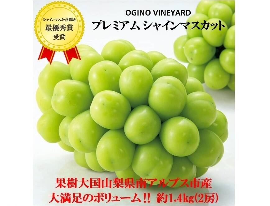 9月2日発送！優秀品シャインマスカット 山梨 ぶどう 産地直送 通販