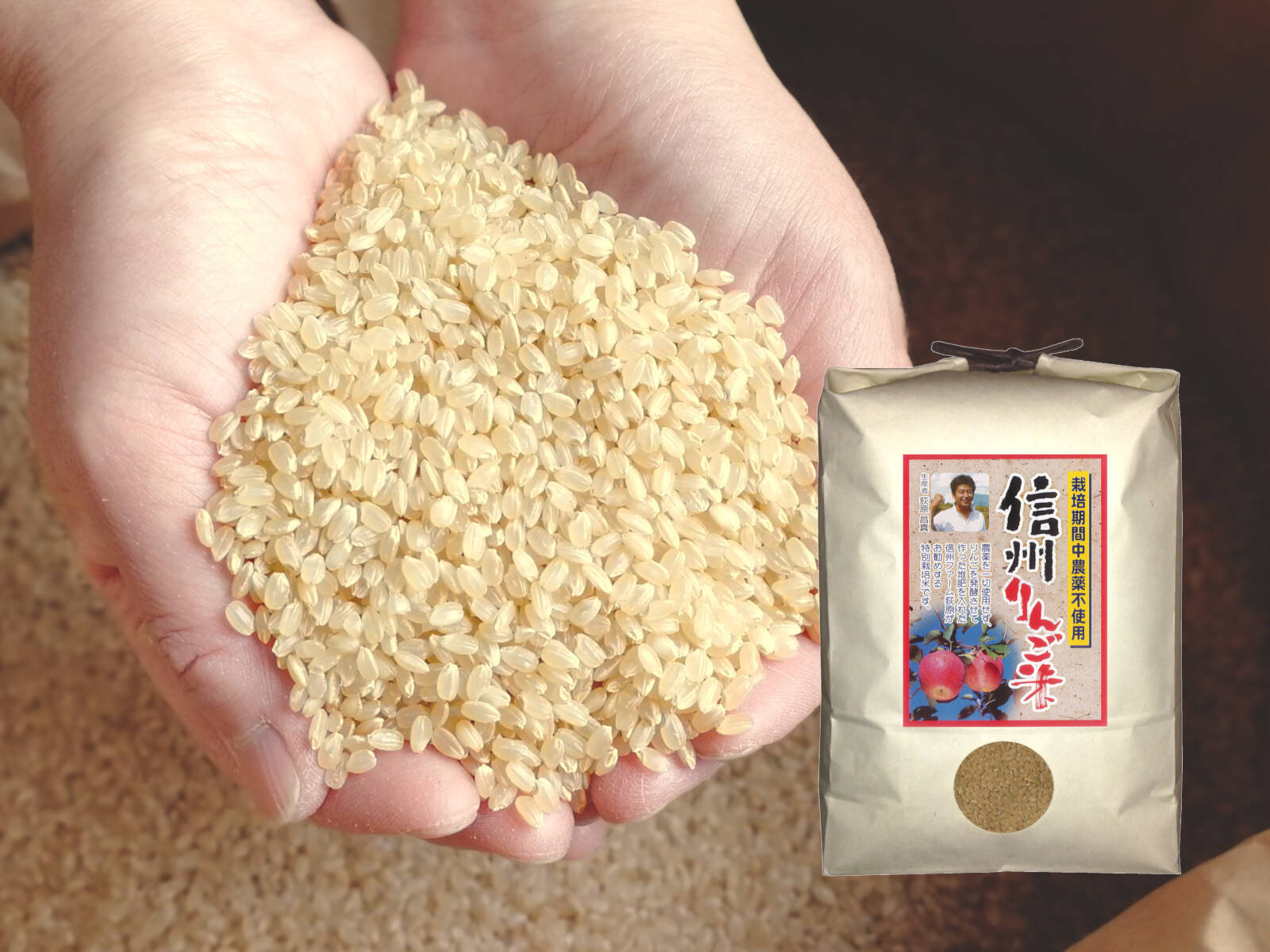 自然栽培 玄米 23kg 2023年産 コシヒカリ無化学肥料