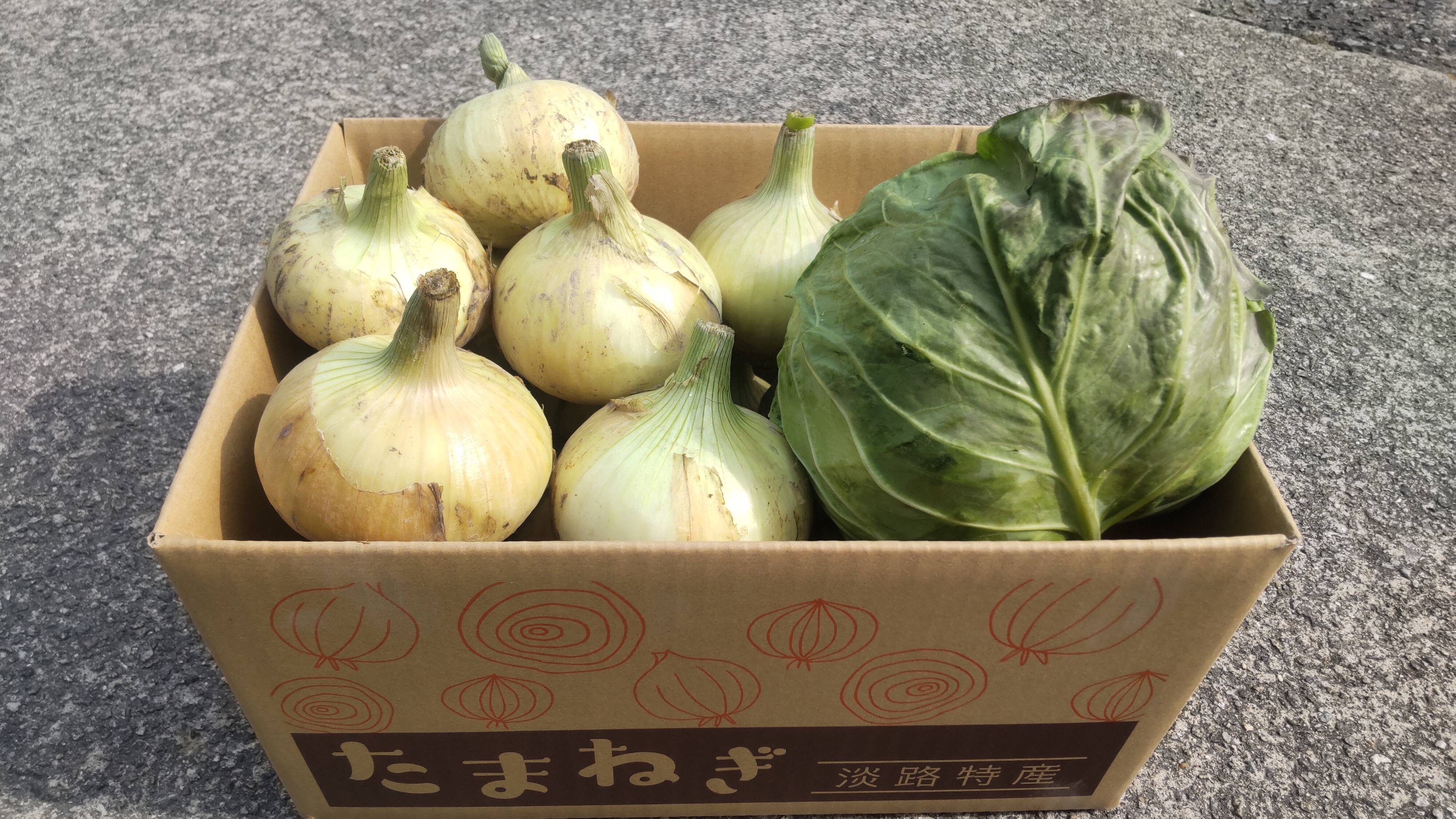 数量限定》淡路島産の甘くて美味しい新玉ねぎ3kg とグリーンボール