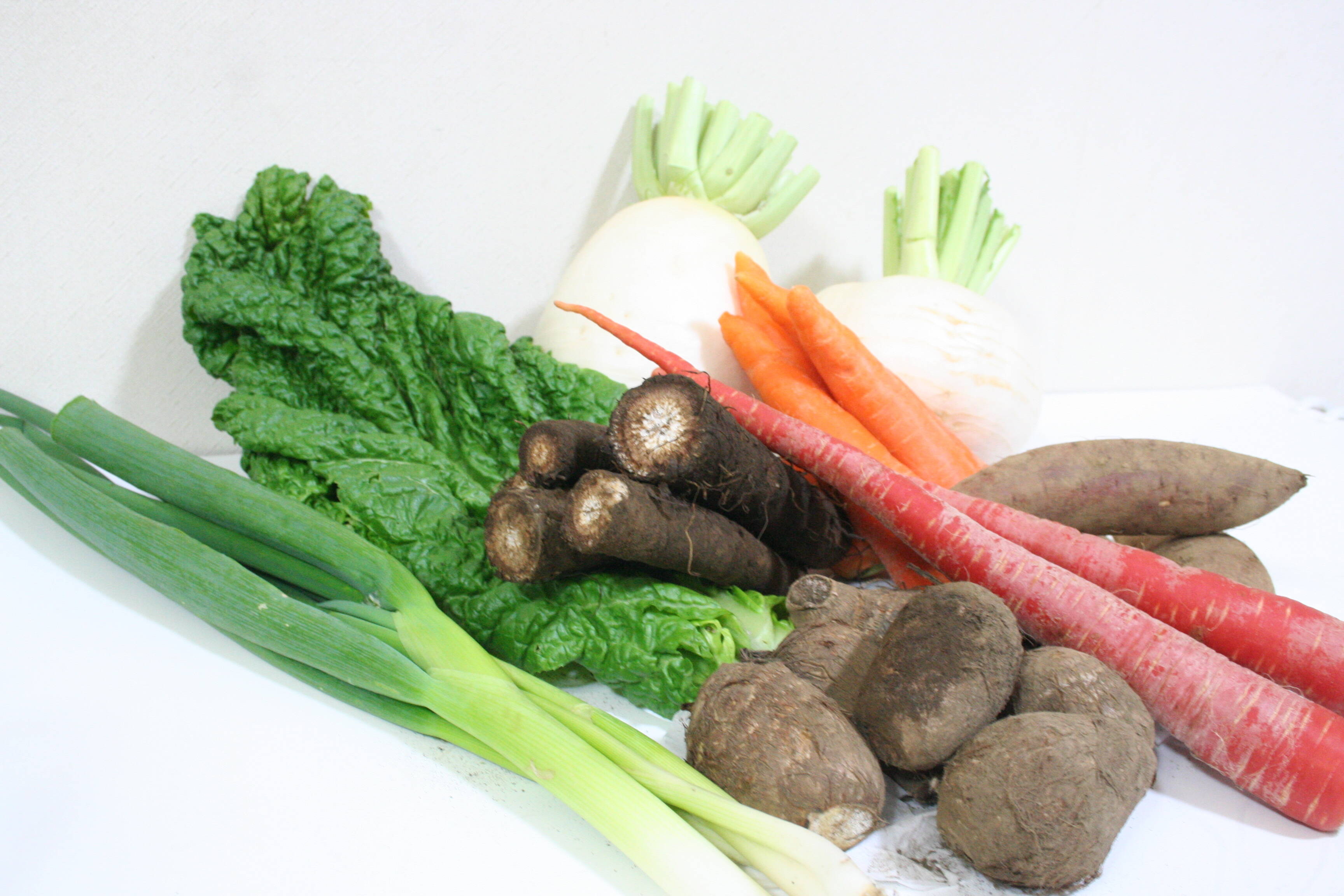 【冬の野菜セット】お節料理などの年末年始に役立つ旬の野菜9種類 ...