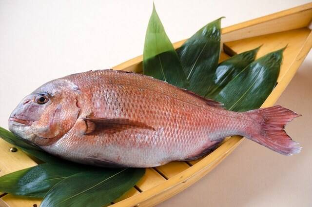 熊本天草産 真鯛まるごと１匹 2 サイズ 熊本県産の魚介類 食べチョク 産地直送 産直 お取り寄せ通販 農家 漁師から旬の食材を直送