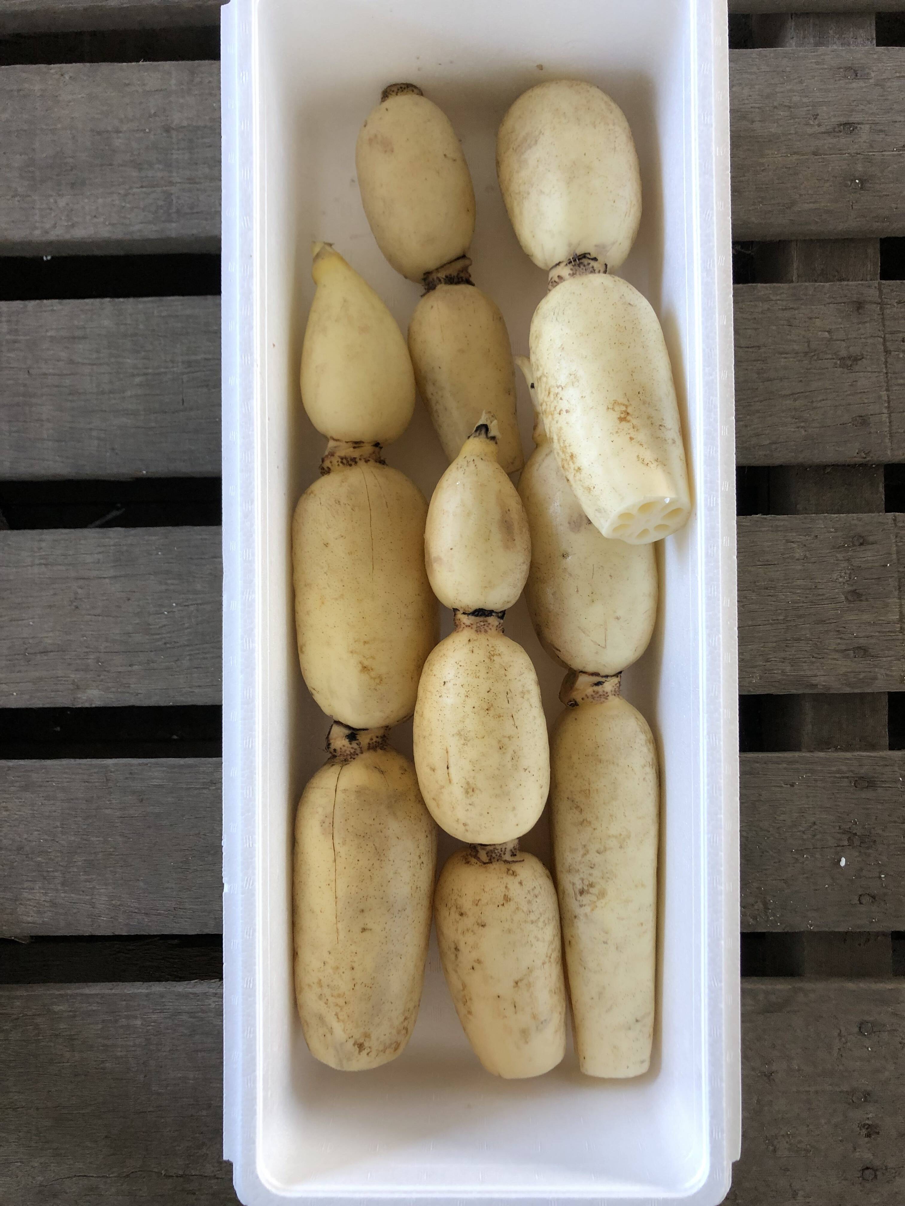 最旬トレンドパンツ 水郷佐原のコシヒカリ 10kg