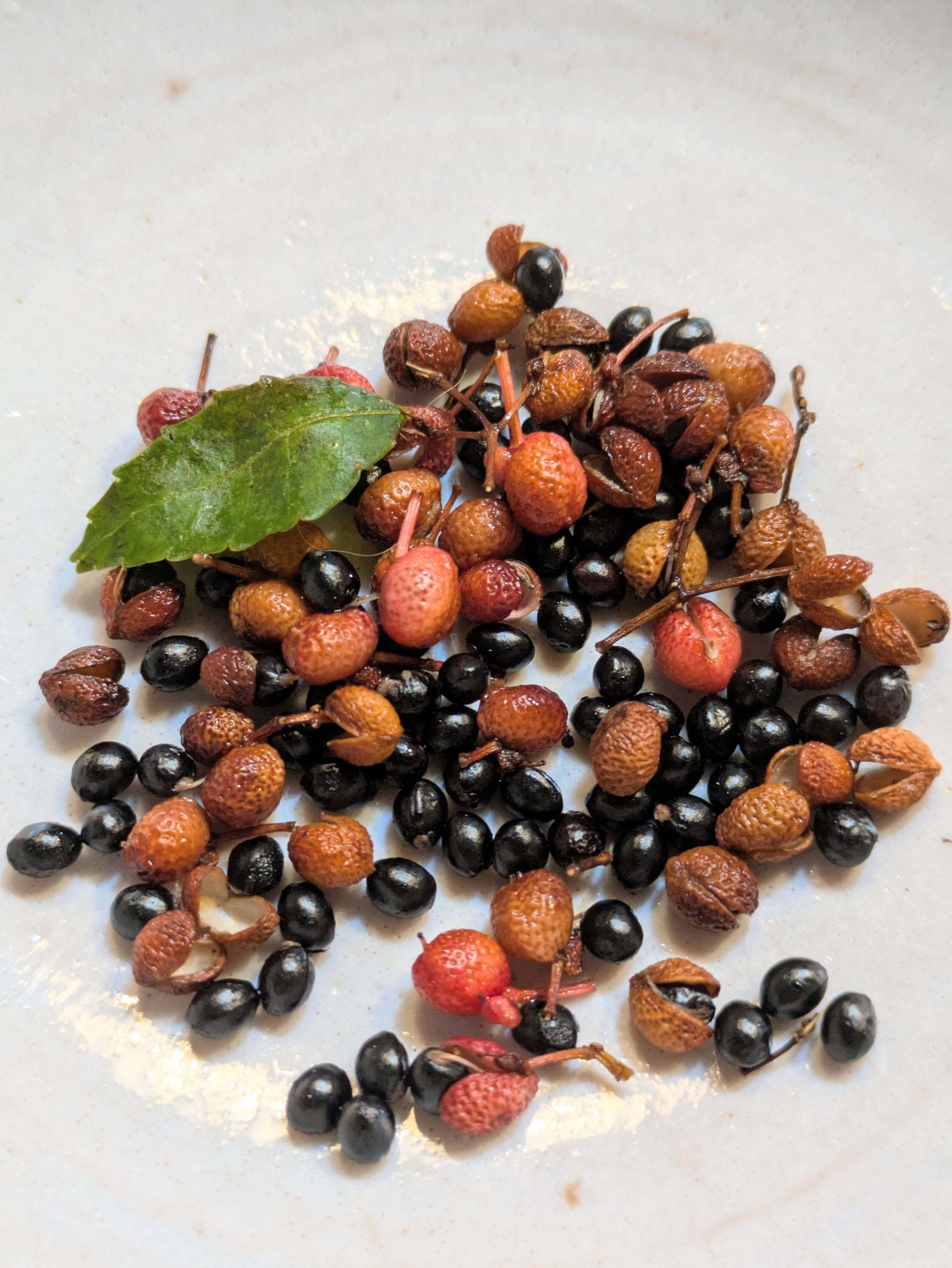 赤山椒の赤い実 黒い種多め 農薬一切不使用 天然栽培：長野県産の山椒