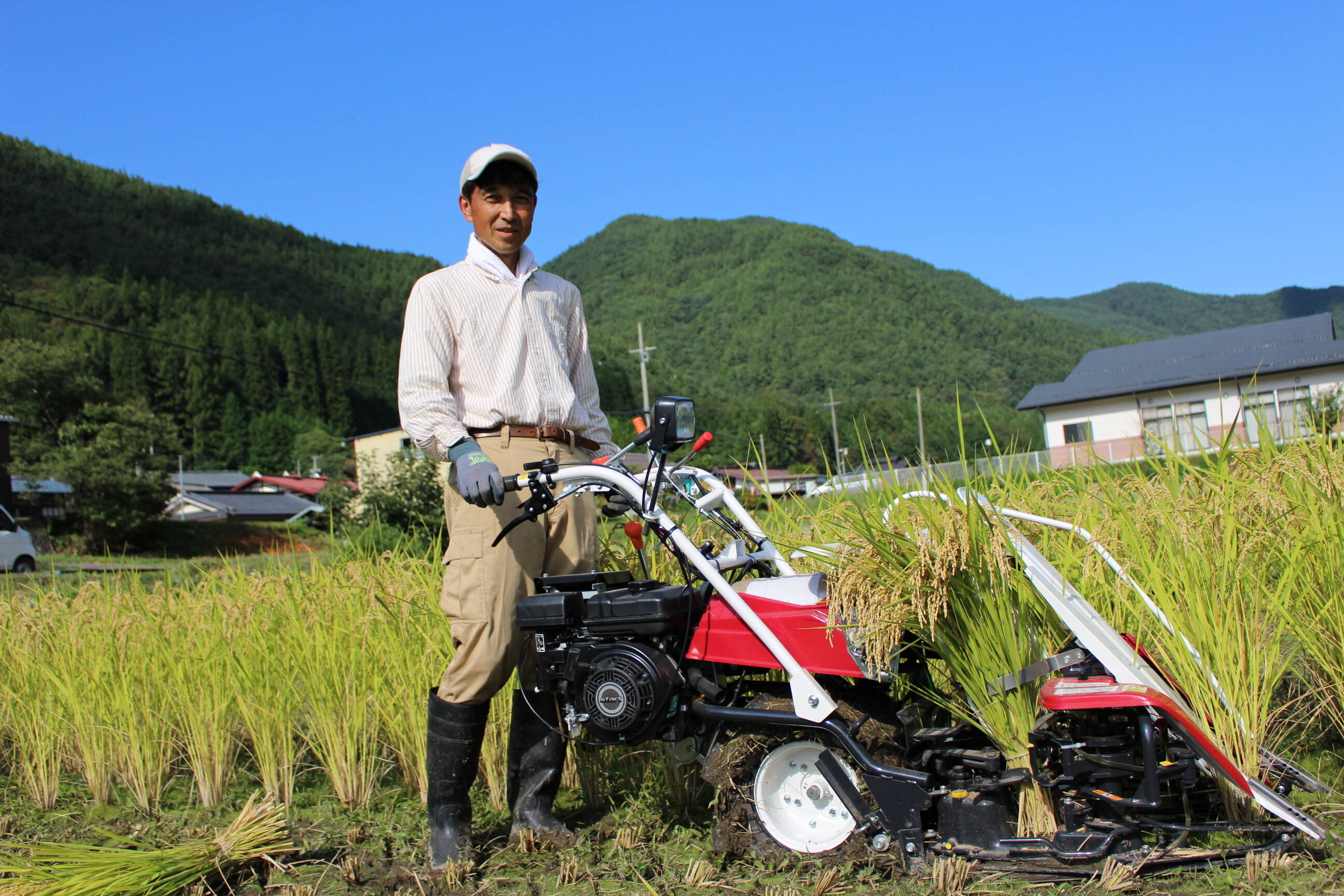 新米】🍙自然栽培米こしひかり（白米10㎏）令和５年産 ほっこり芳醇な