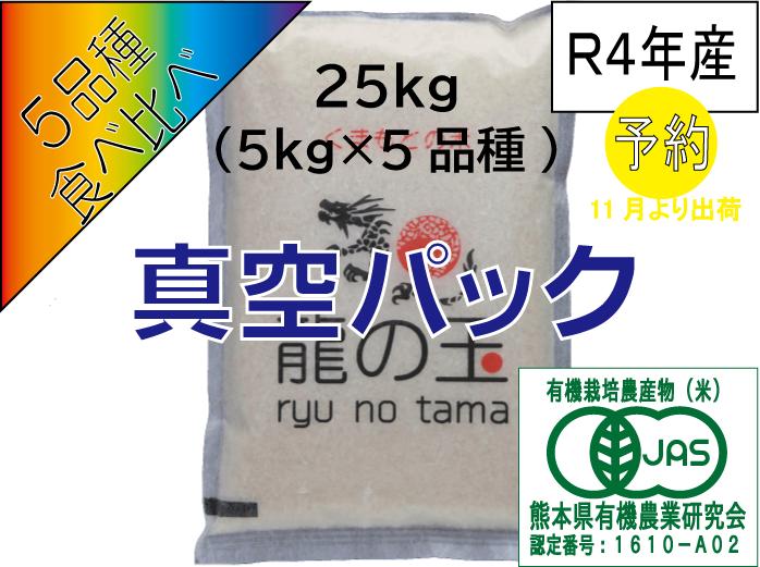 お米 真空パック 令和４年度 農家直送 きぬむすめ 保存 ２kg×10個