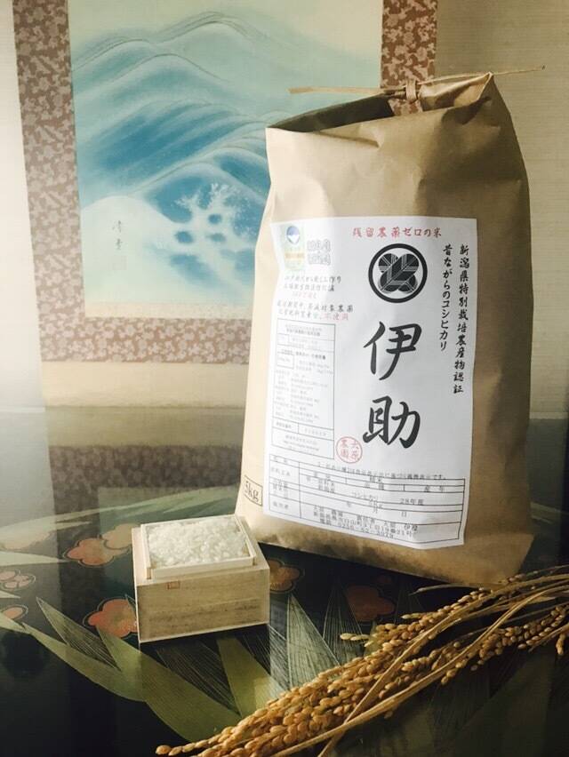 令和8年新米】農薬化学肥料不使用！昔ながらのコシヒカリ『伊助』（5