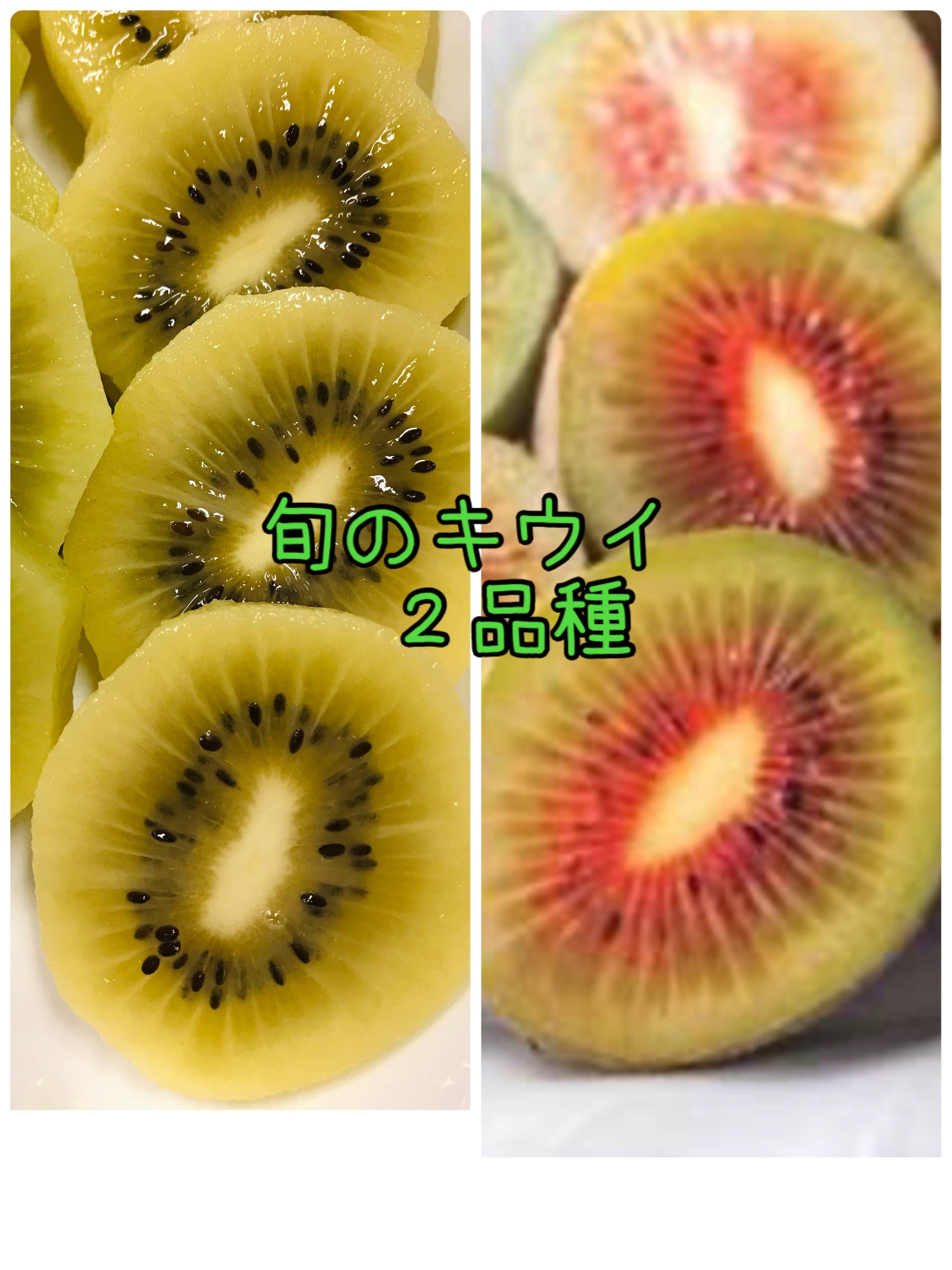 旬のキウイ2品種大玉2.0kg(20~25個)?【希少品種レインボーレッド 