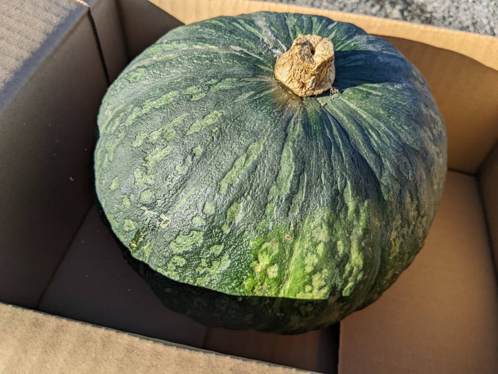 b2e46801ed2e6be46779f53a68dff7