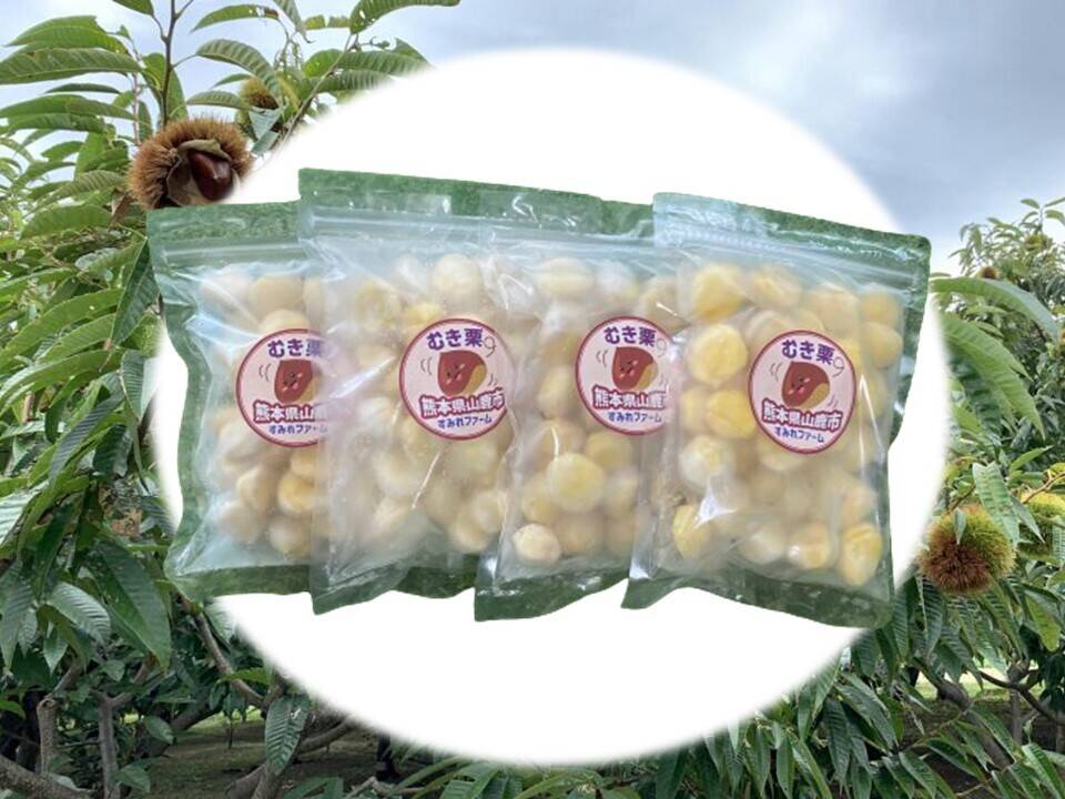 b2e7281f17c3f0346b36040cc49ba2