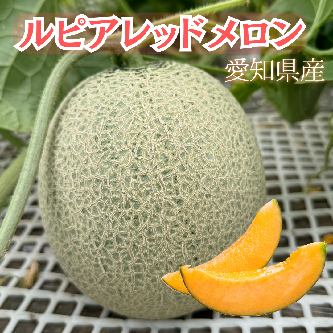 ルピアレッドメロン　7L4玉 ルピアレッドメロン 4L2玉：愛知県産のルピアレッド｜食べチョク｜産地