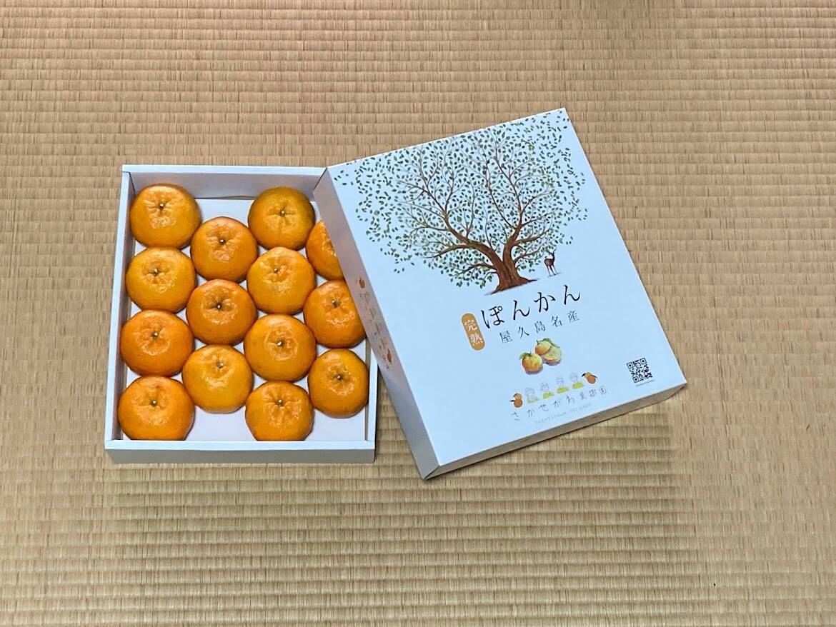 b31b15fc65605399e2034581ff1f40