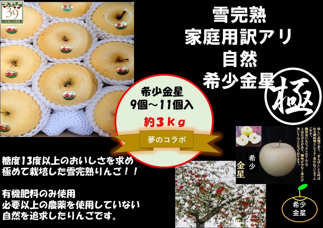 青森県産りんご 出回ってない珍しい希少品種 「限定10セット」極み