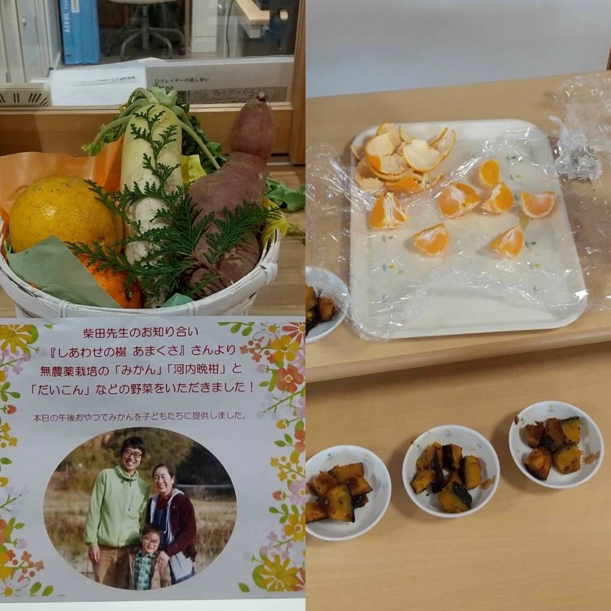 天草晩柑 20kg 生産者直送、農薬・化学肥料不使用❣️ 天草の宝石箱！栽培期間中農薬不使用 3種の柑橘セット 箱込み4kg