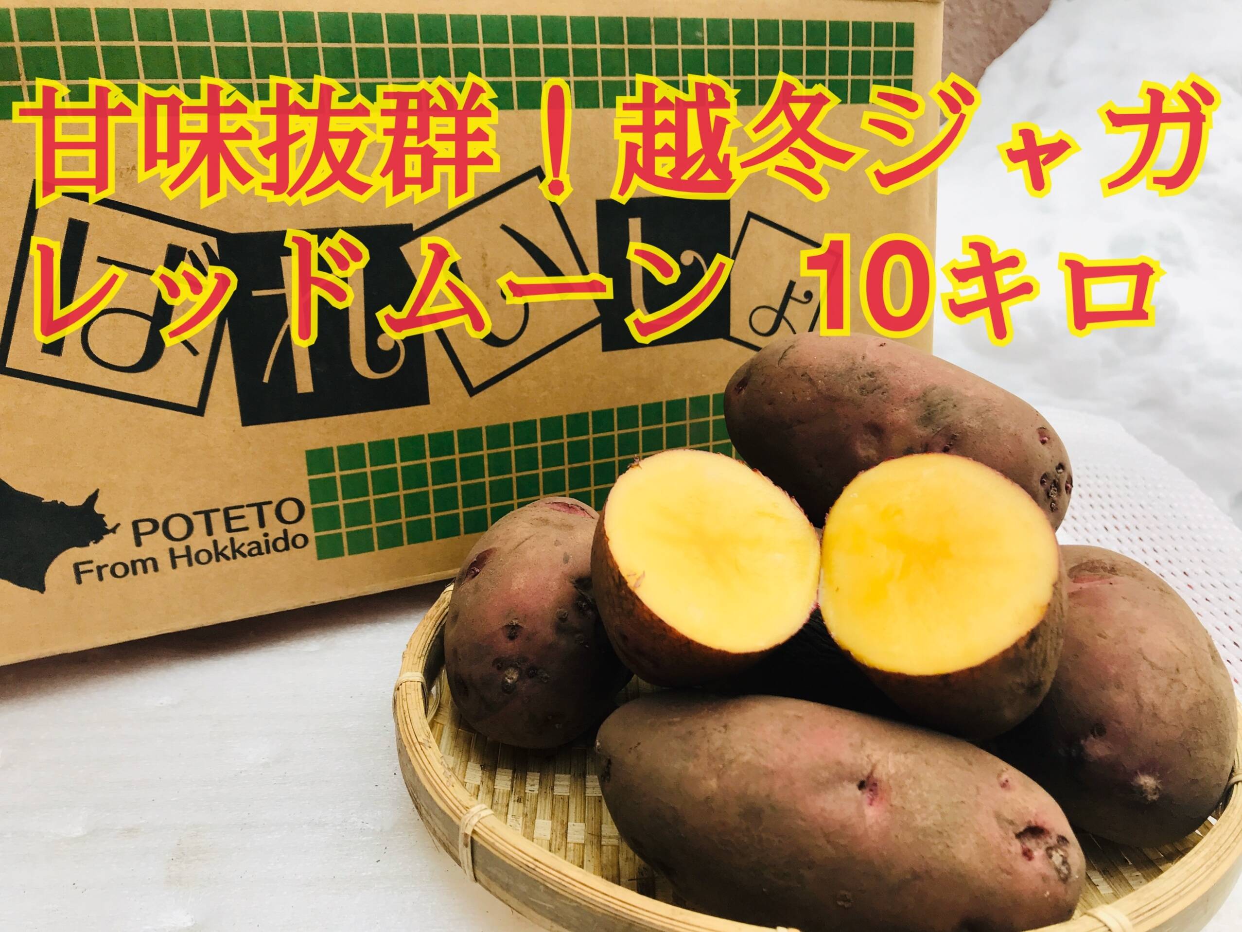 じゃがいも レッドムーン 10キロ 北海道 ジャガイモ：北海道産の