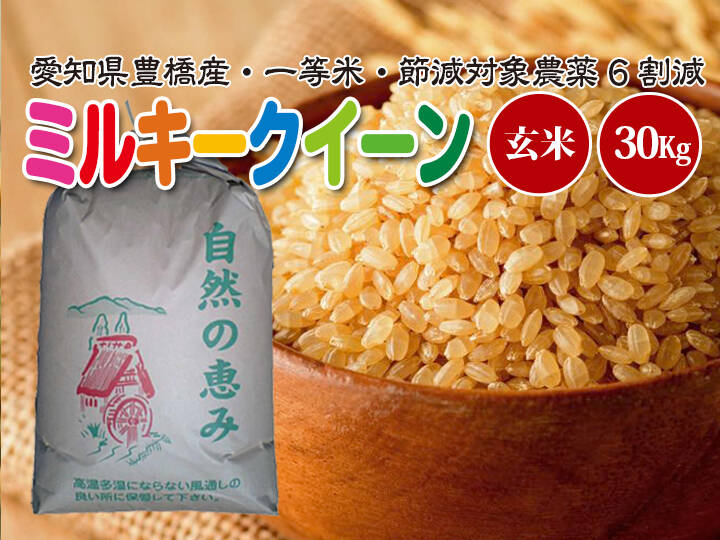 ササニシキ　玄米24kg-