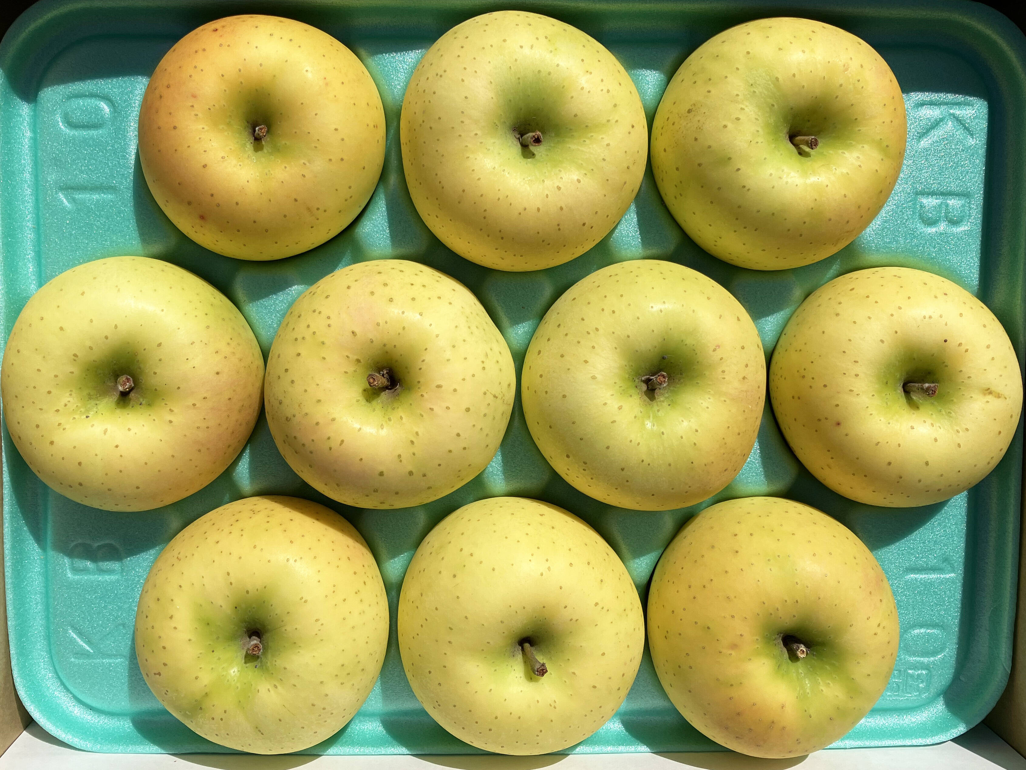 完売御礼】夏の青りんご🍏きおう3kg🍏青森県特別栽培認証 皮ごと